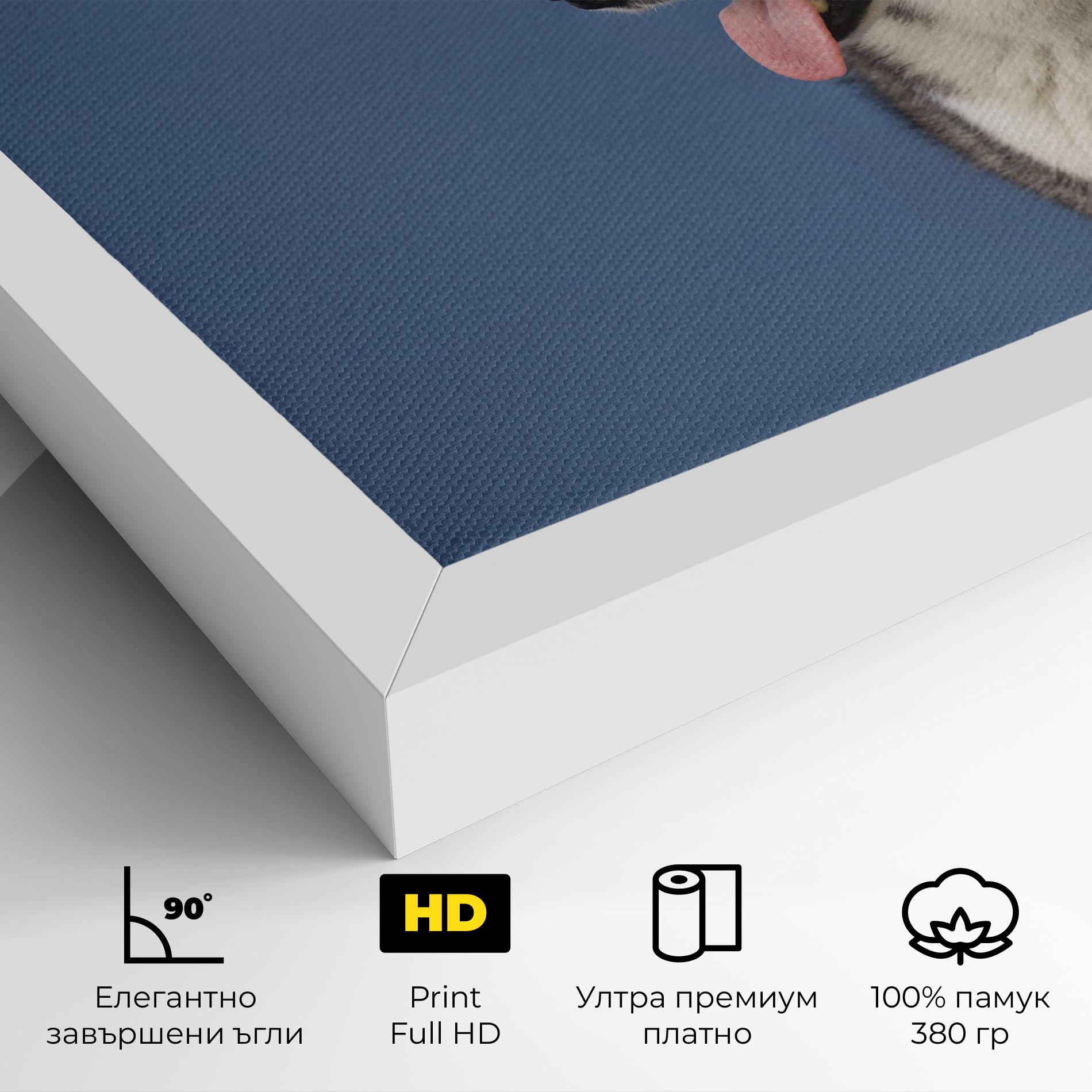 Картина на платно Blue Glasses Dog mockup 4