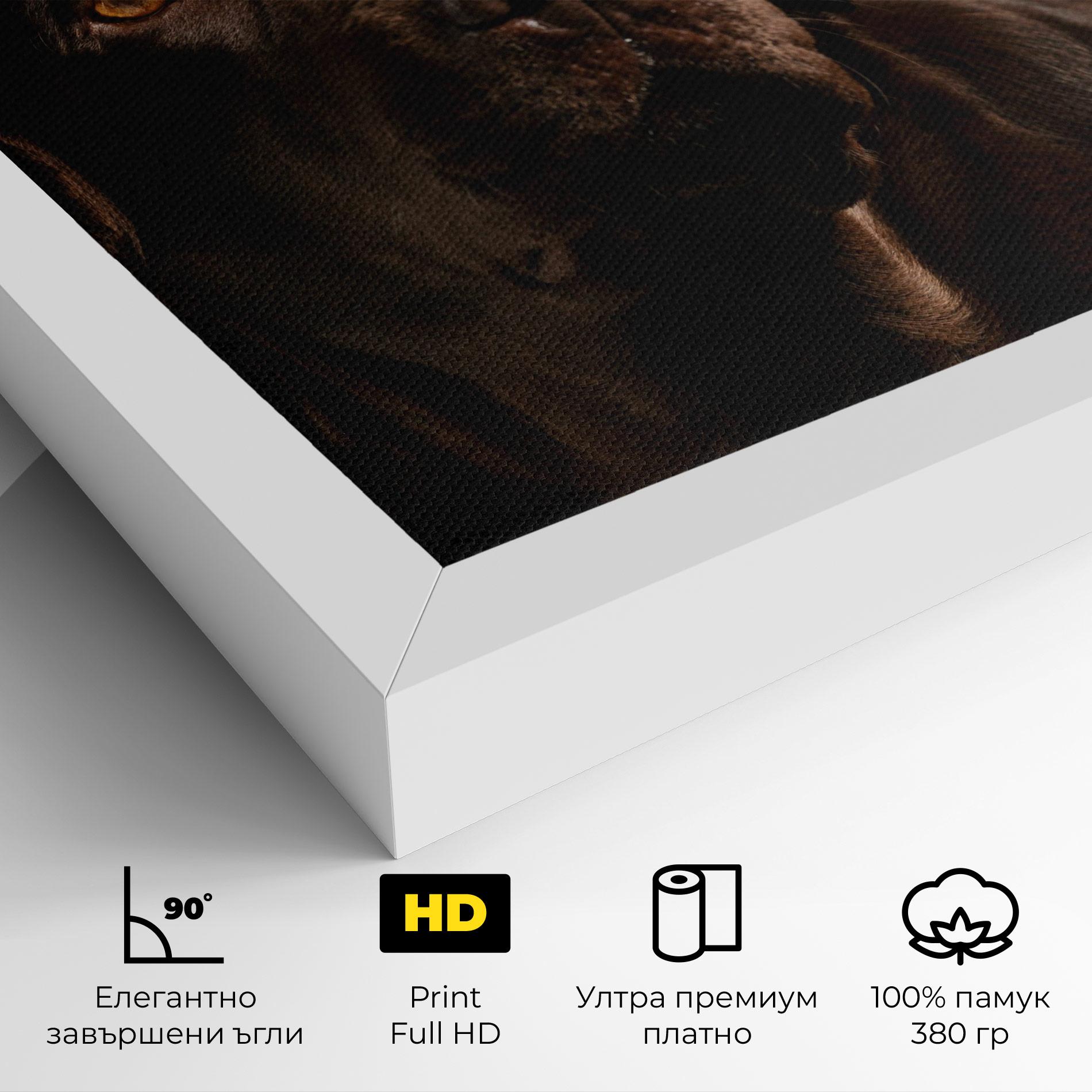 Картина на платно Brown Labrador mockup 4