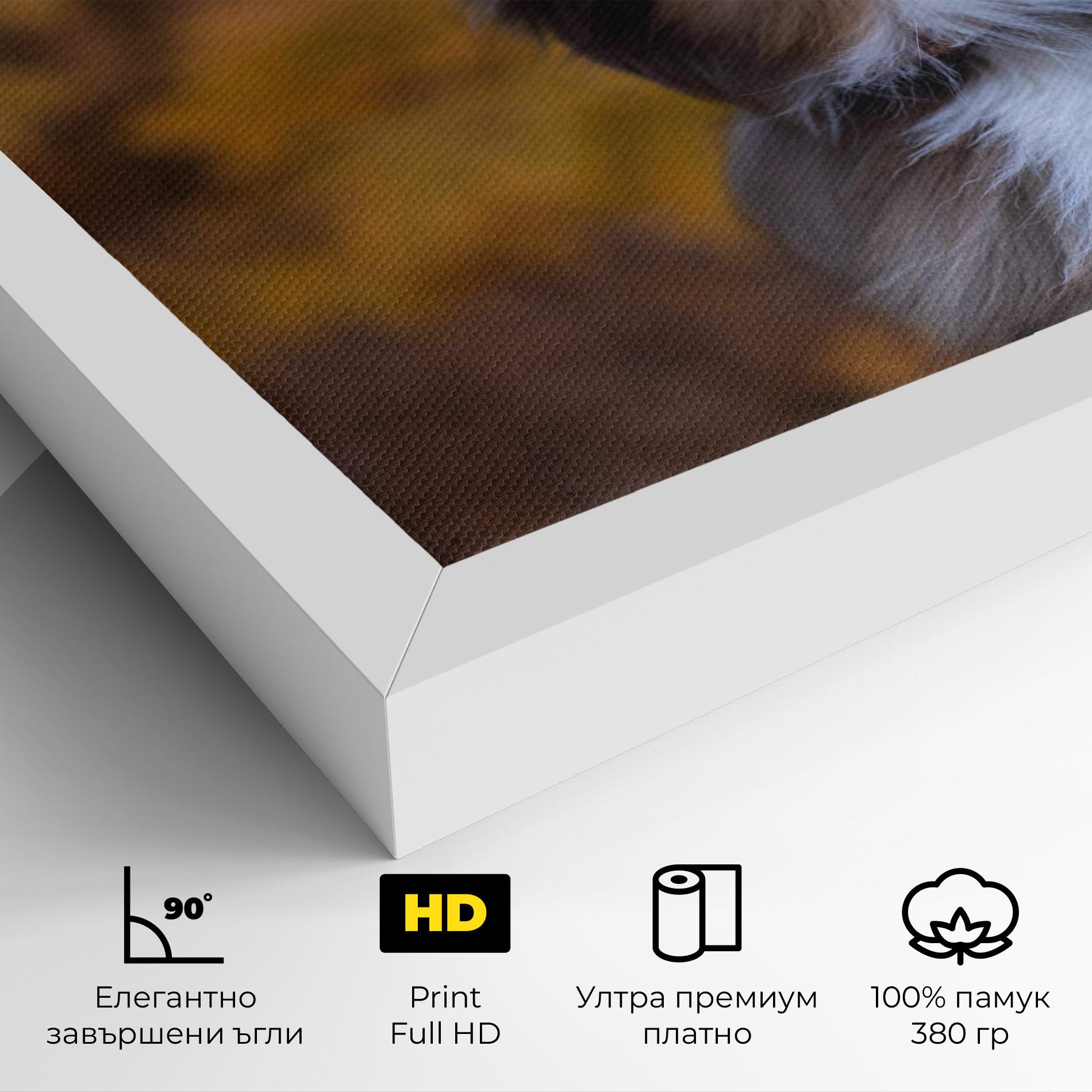 Картина на платно Coffee Brown Dog mockup 4