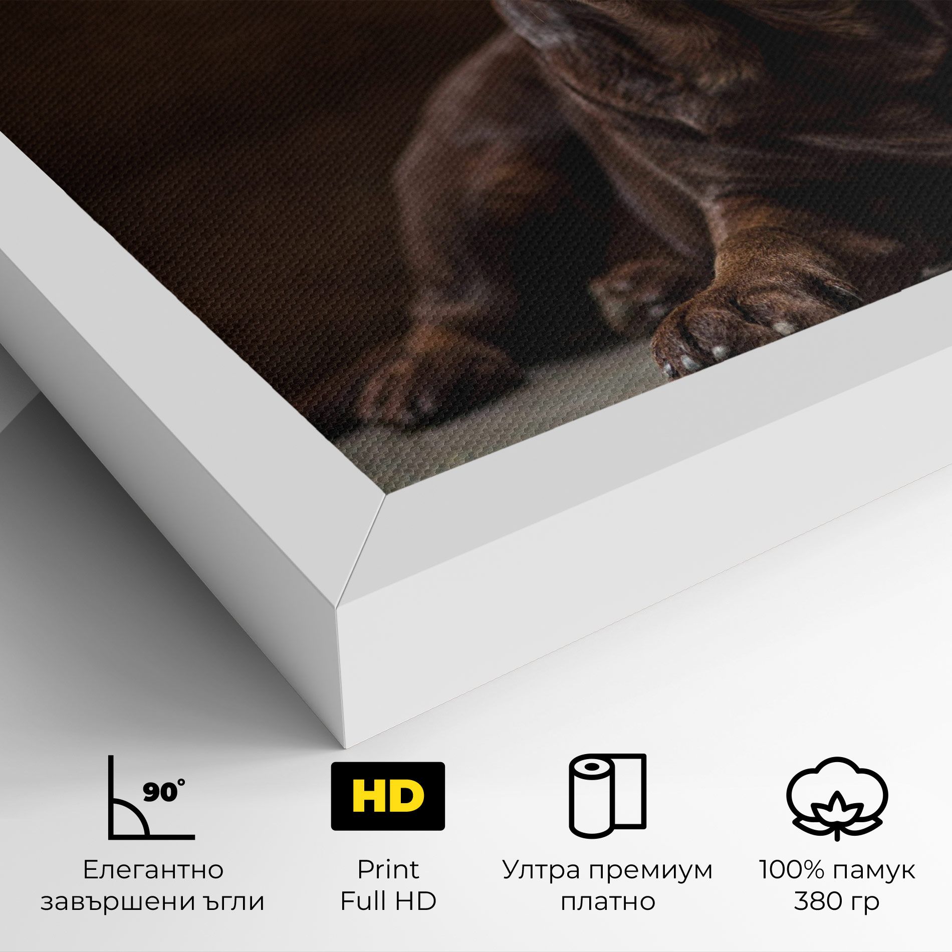 Cute Brown Labrador mockup 4