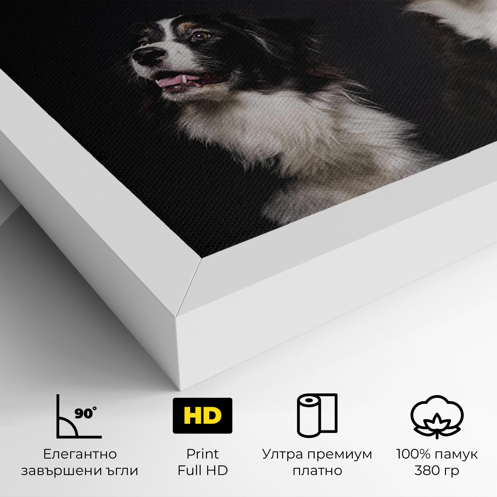 Картина на платно Cute Dogs Standing mockup 4