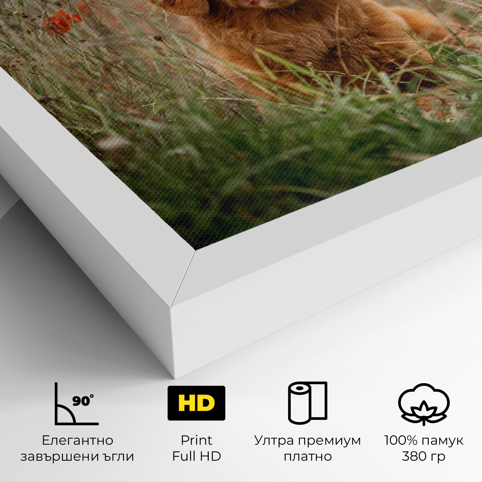 Картина на платно Red Flowers Dog mockup 4