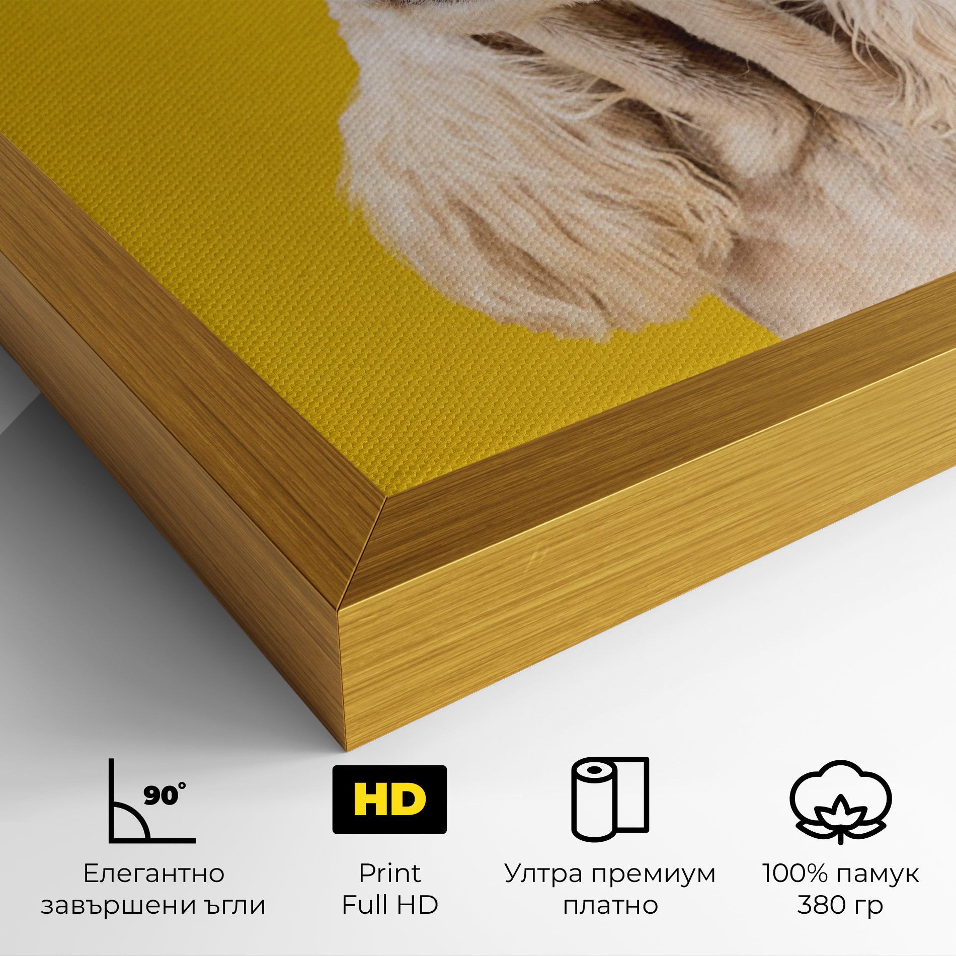 American Spaniel mockup 4