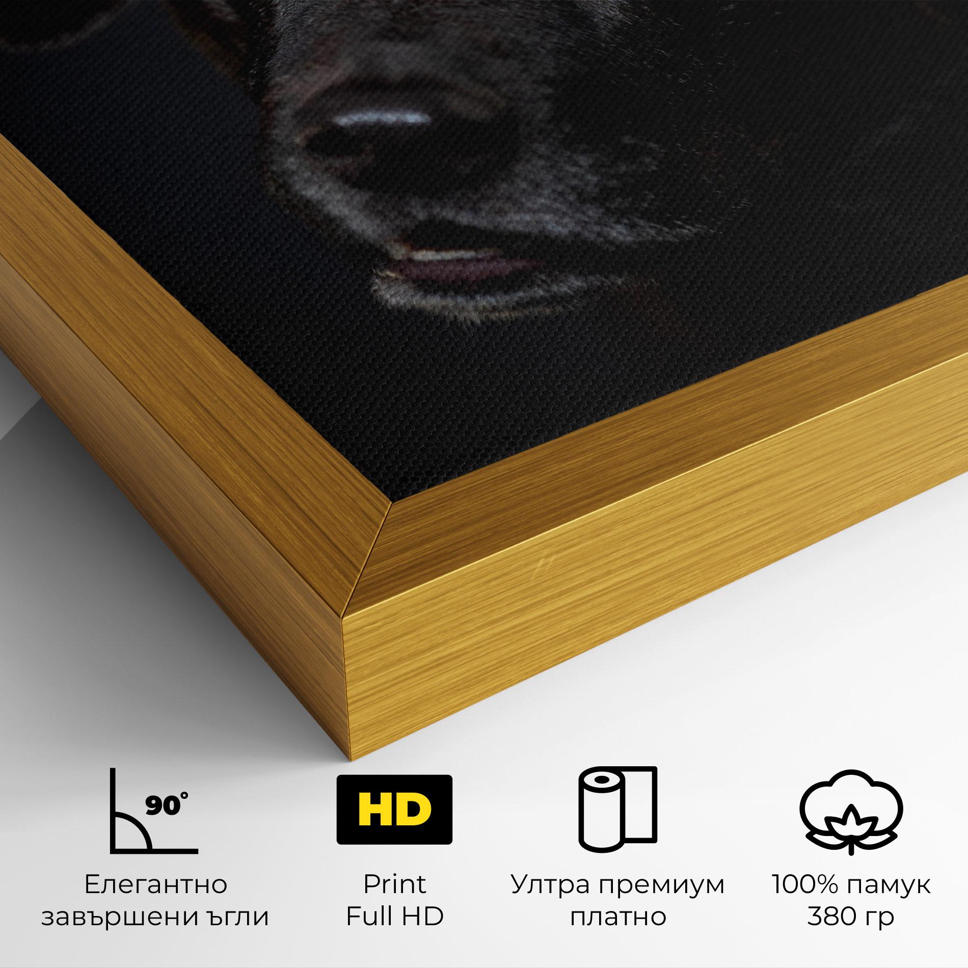 Картина на платно Black Dog Portrait mockup 4