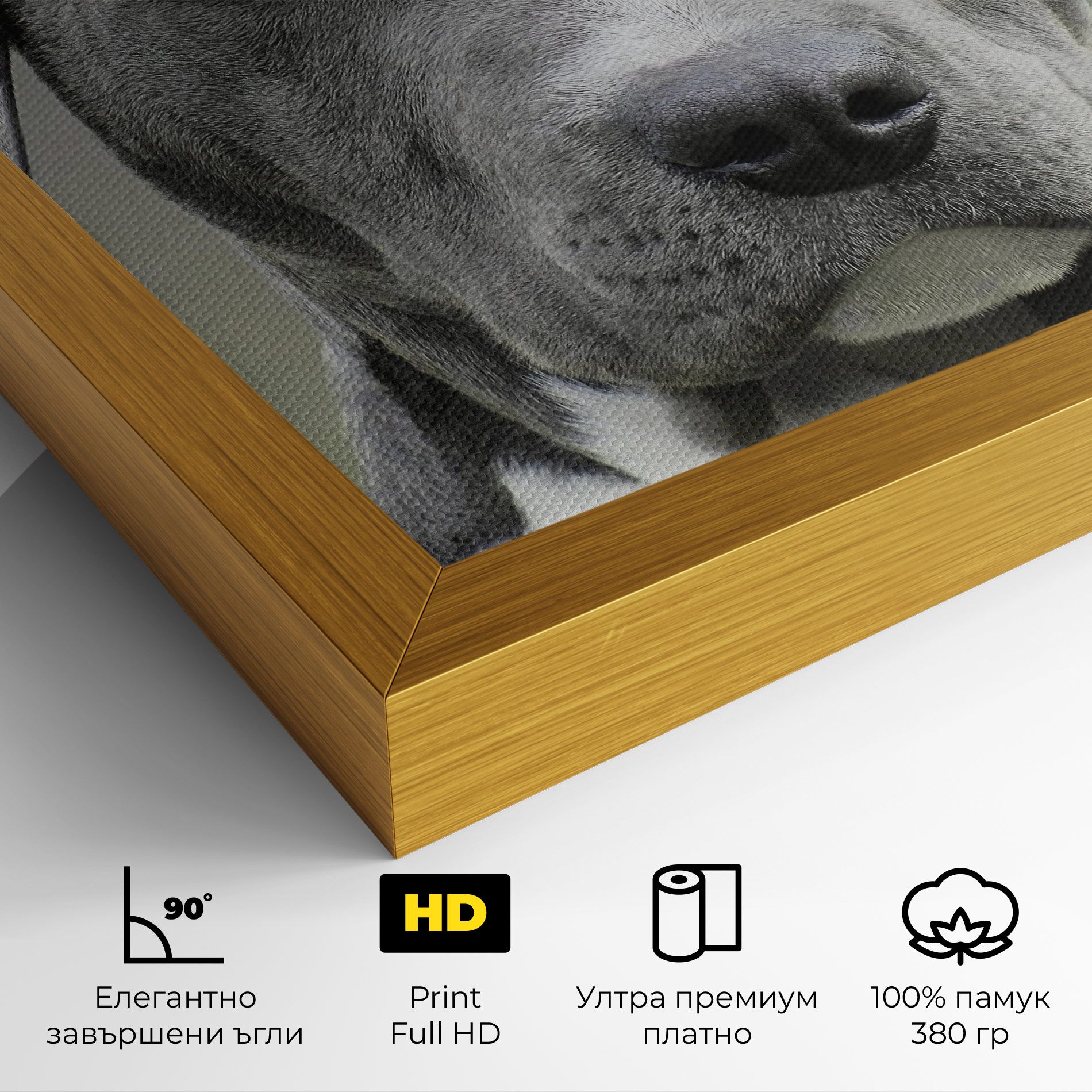 Blue Eyes Dog mockup 4