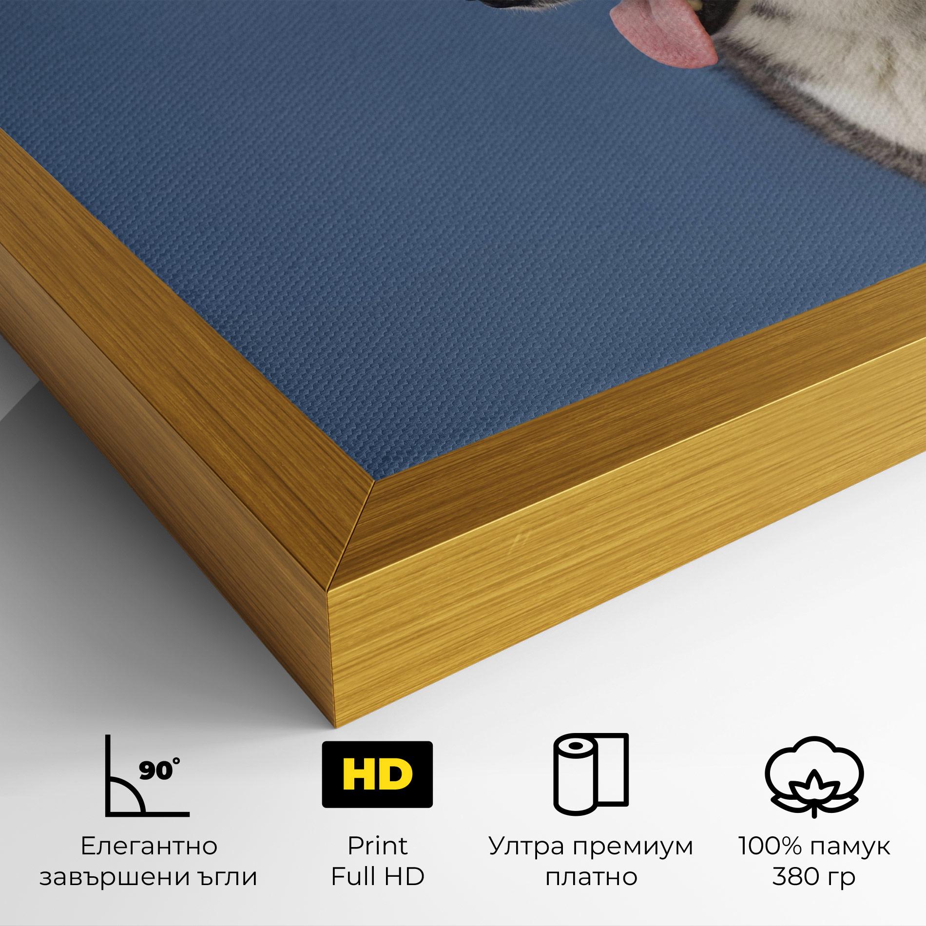 Картина на платно Blue Glasses Dog mockup 4