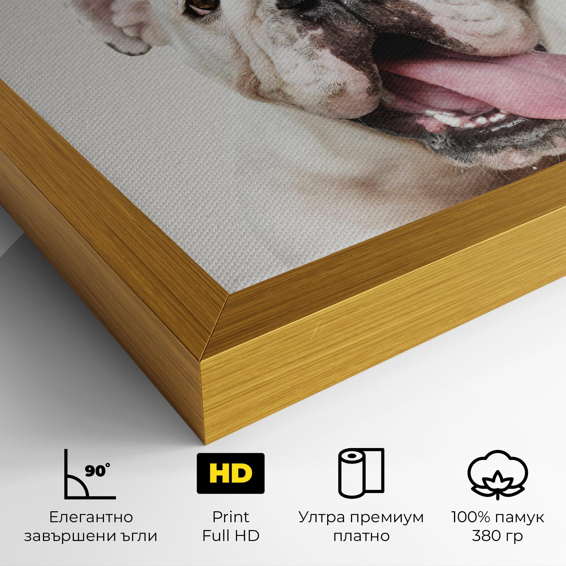 Картина на платно Bulldog Wearing Crown mockup 4