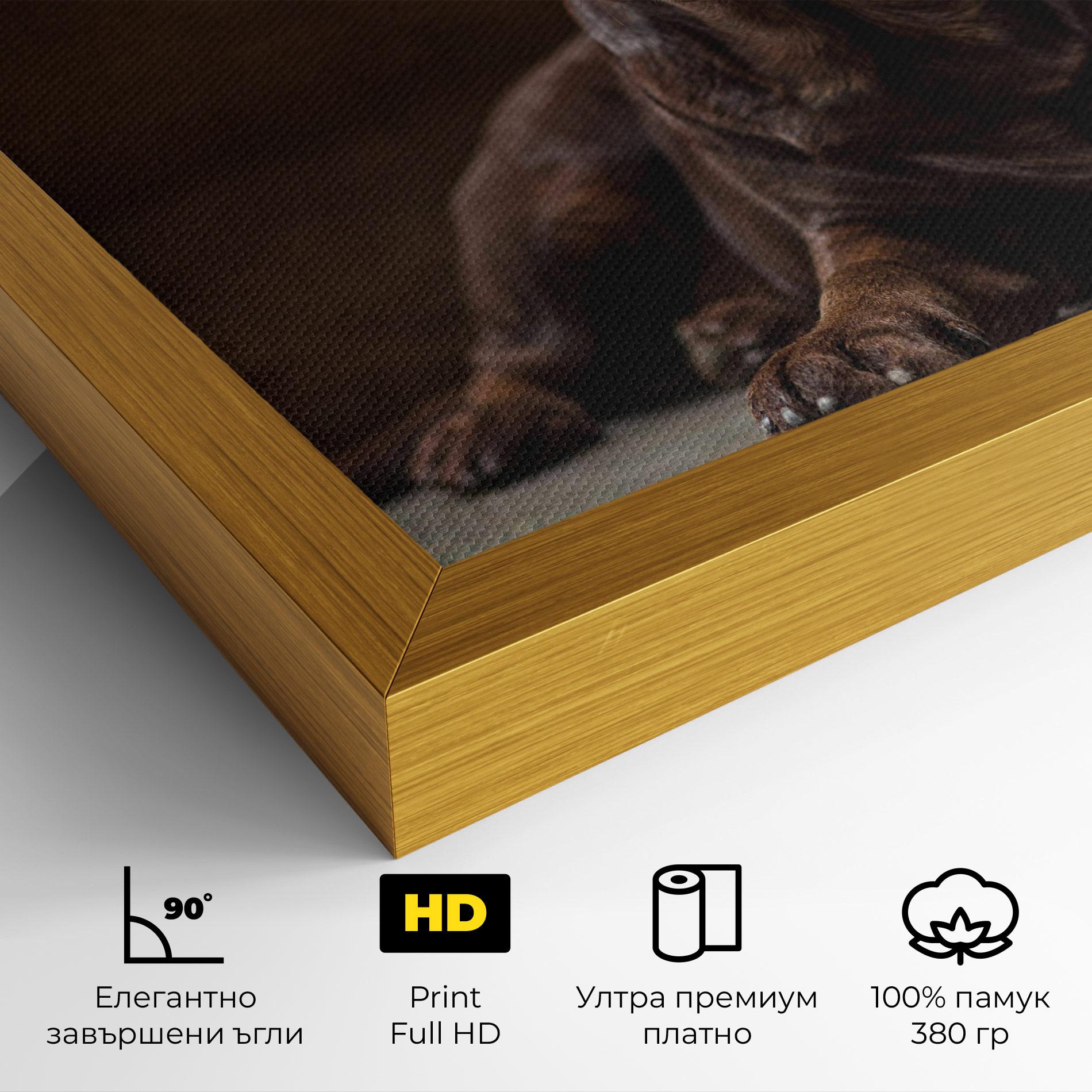 Картина на платно Cute Brown Labrador mockup 4