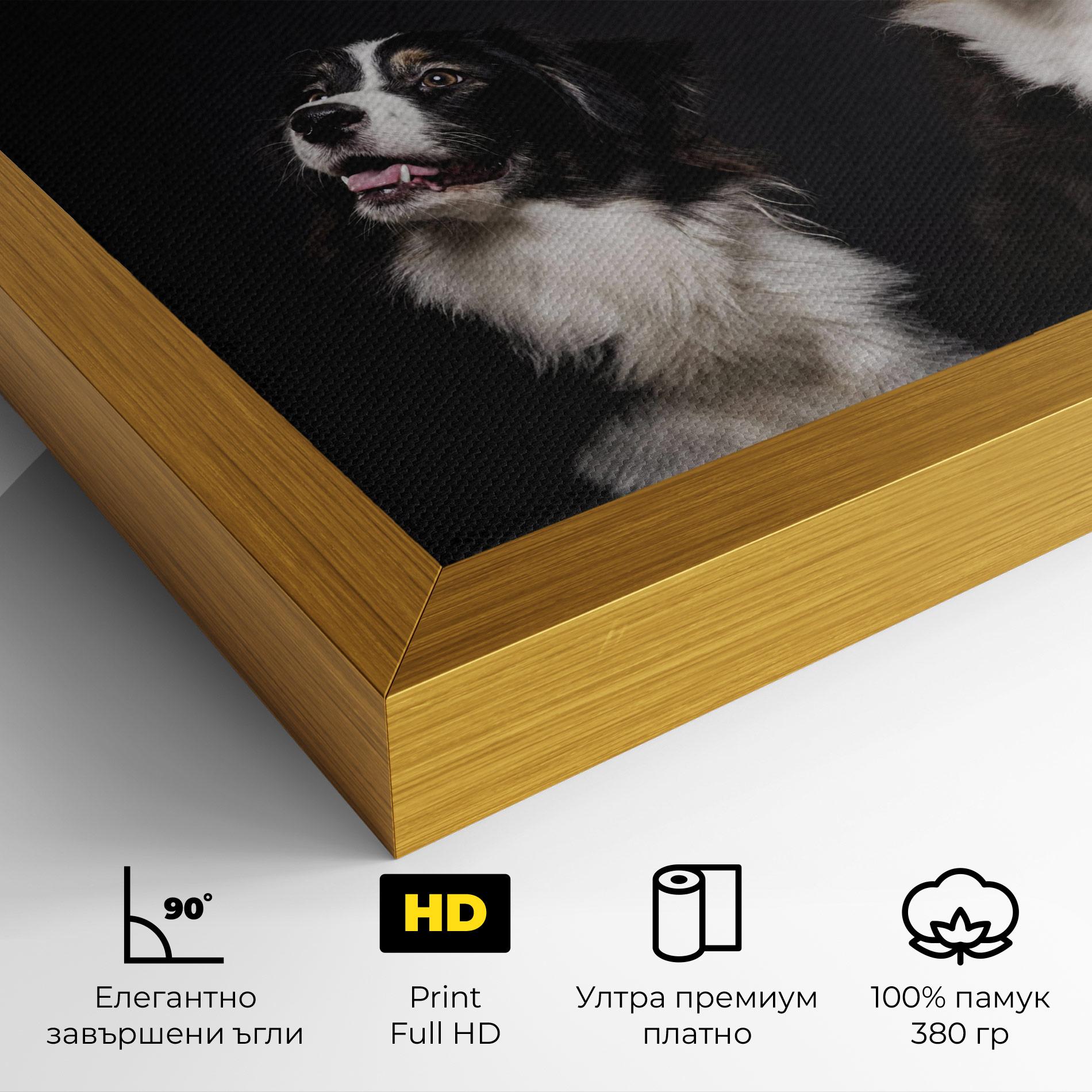 Картина на платно Cute Dogs Standing mockup 4