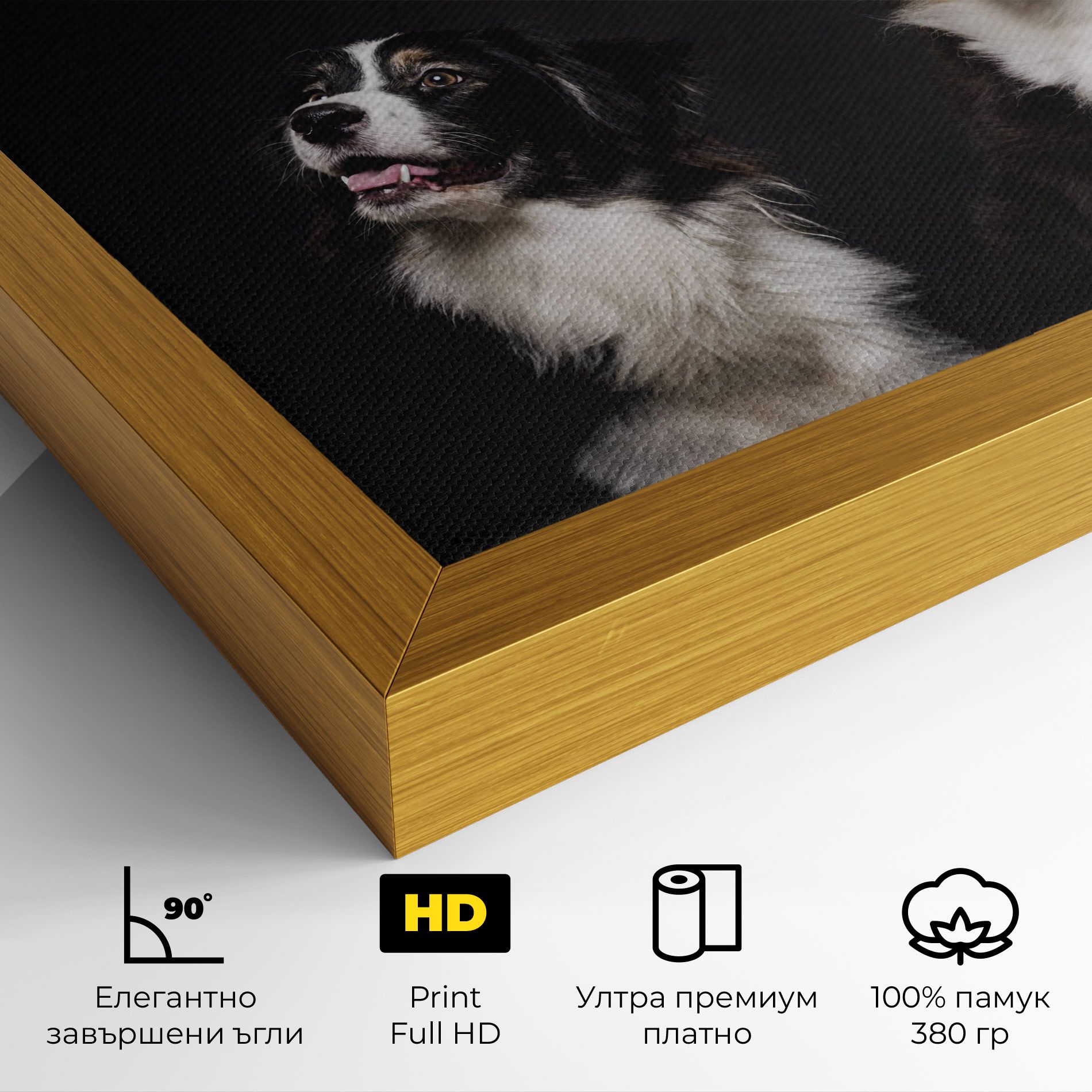 Cute Dogs Standing mockup 4