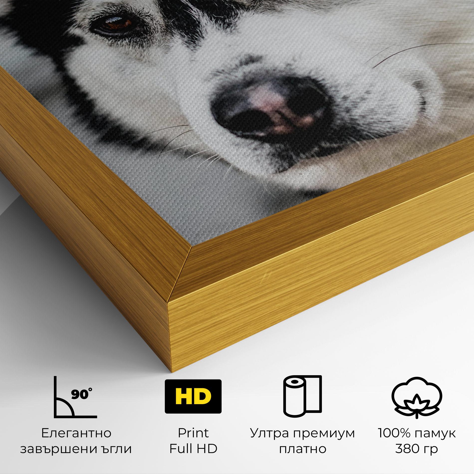Картина на платно Husky Dog mockup 4