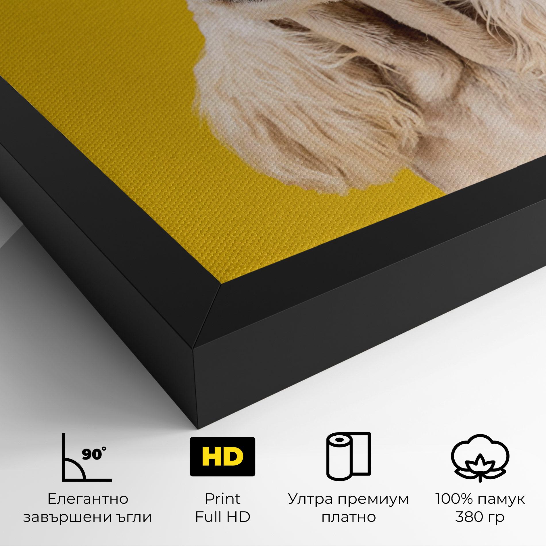 Картина на платно American Spaniel mockup 4
