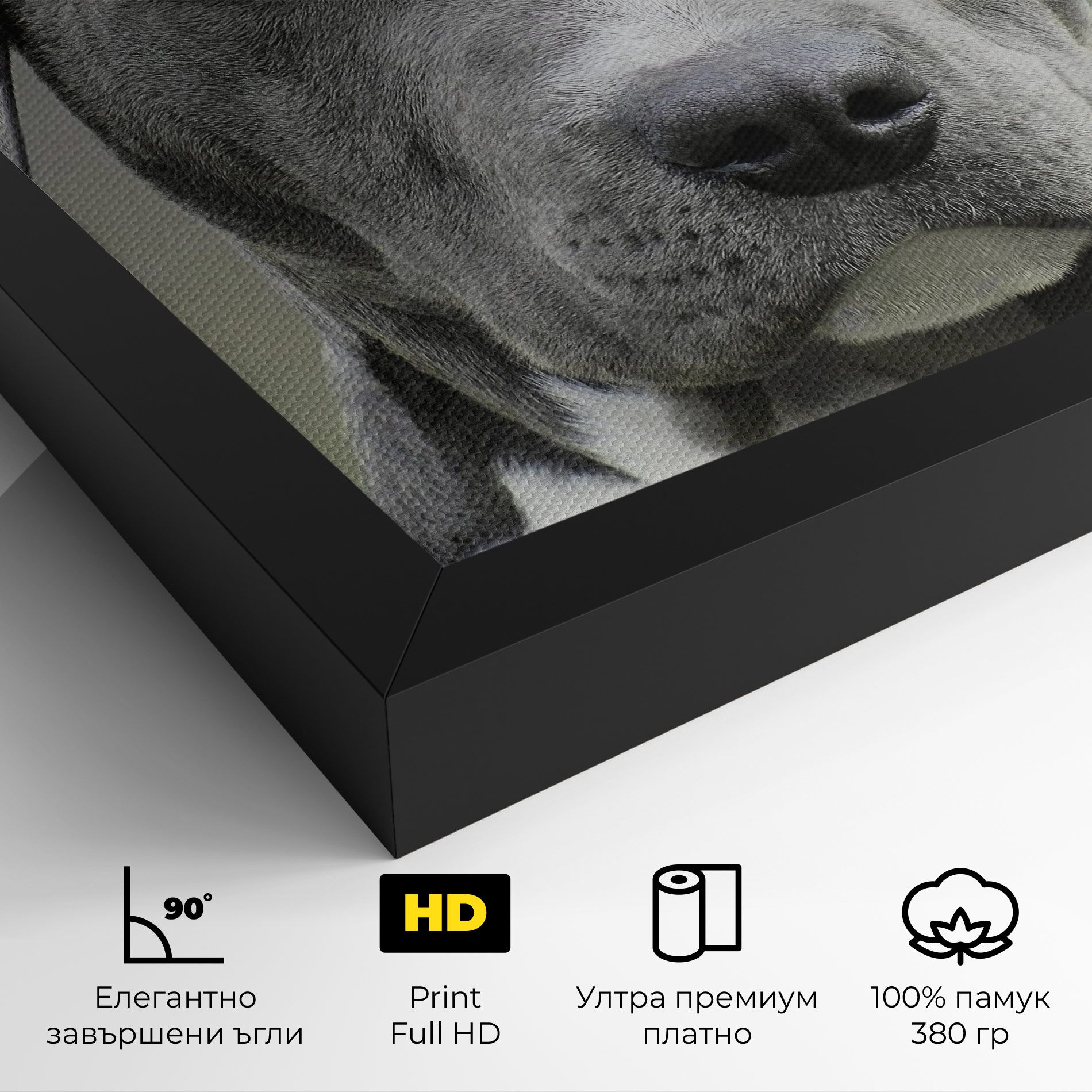 Blue Eyes Dog mockup 4