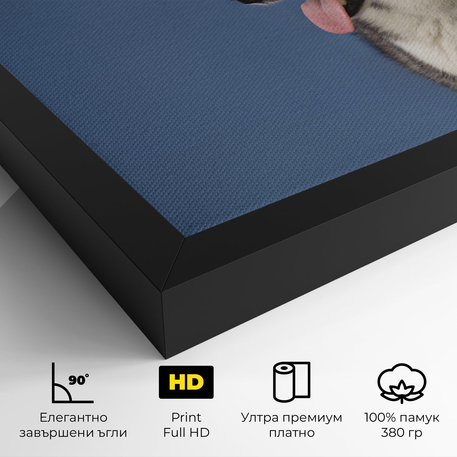 Blue Glasses Dog mockup 4