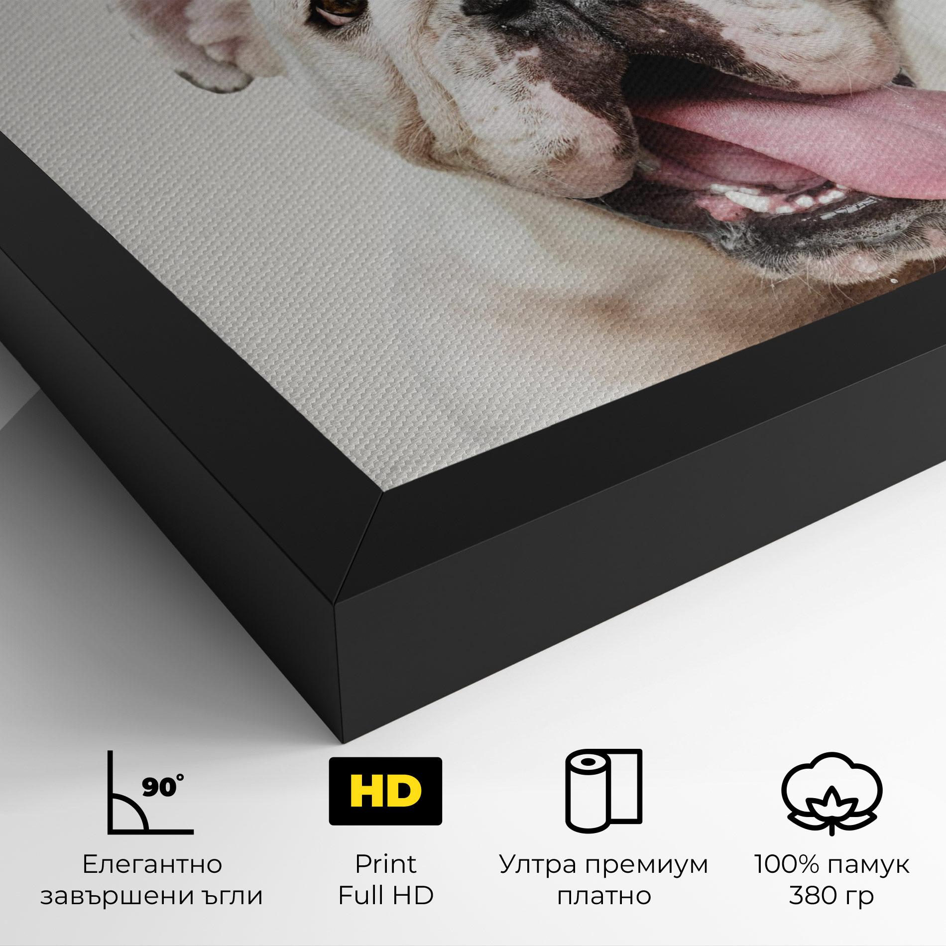Картина на платно Bulldog Wearing Crown mockup 4