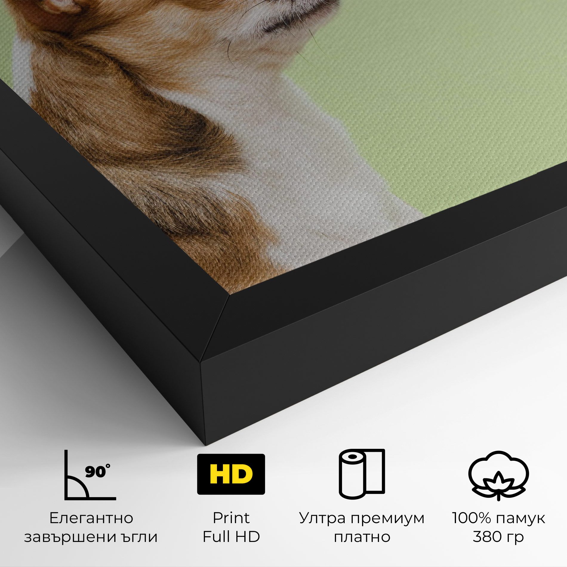 Chihuahua Dog mockup 4
