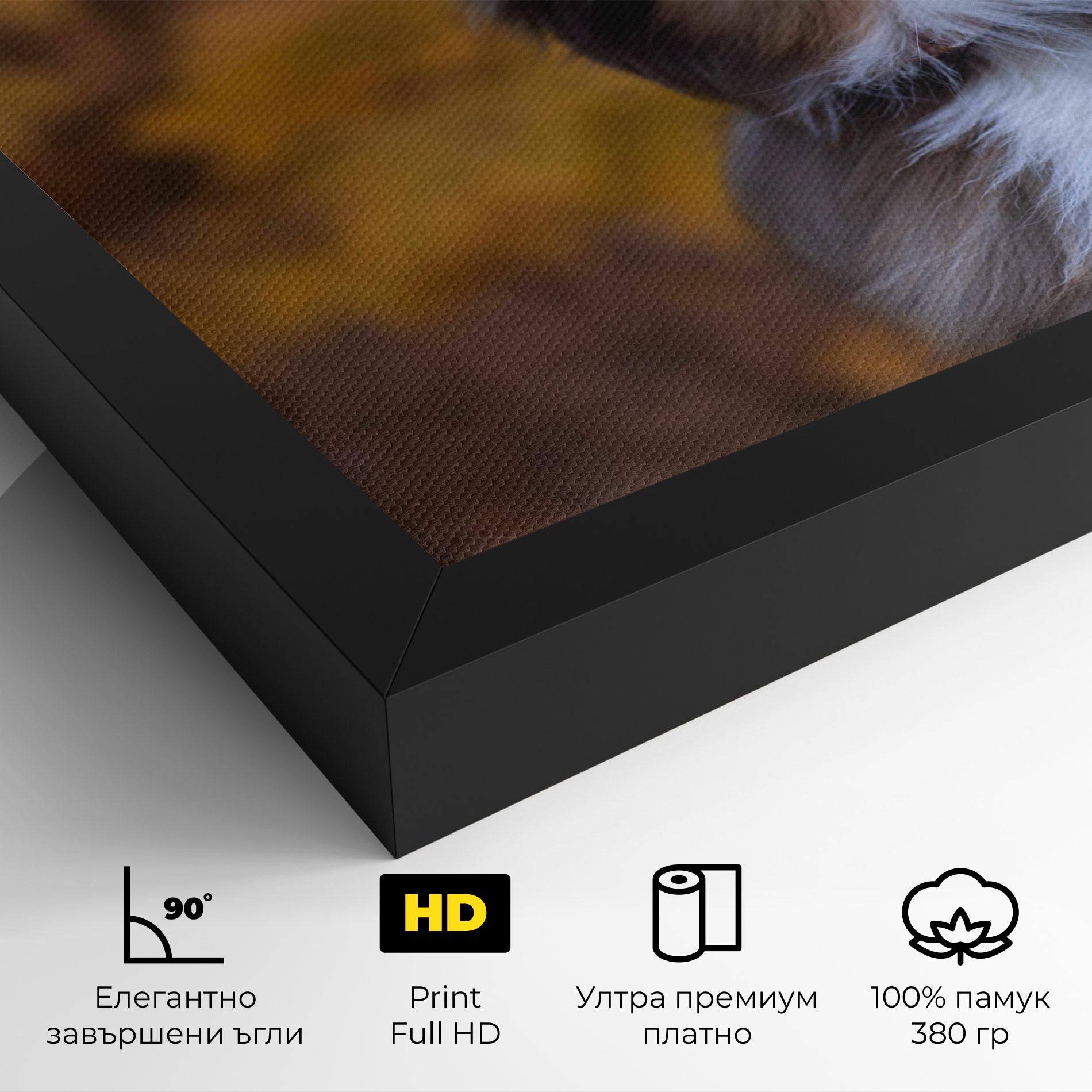Картина на платно Coffee Brown Dog mockup 4