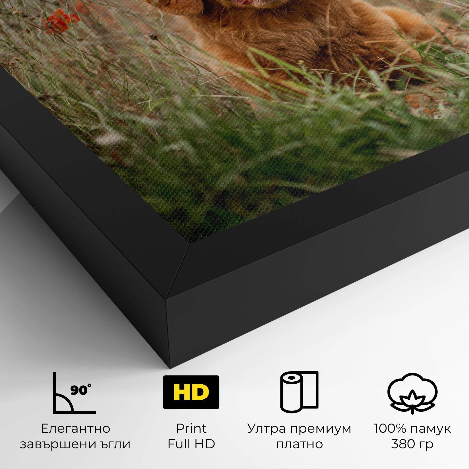 Картина на платно Red Flowers Dog mockup 4