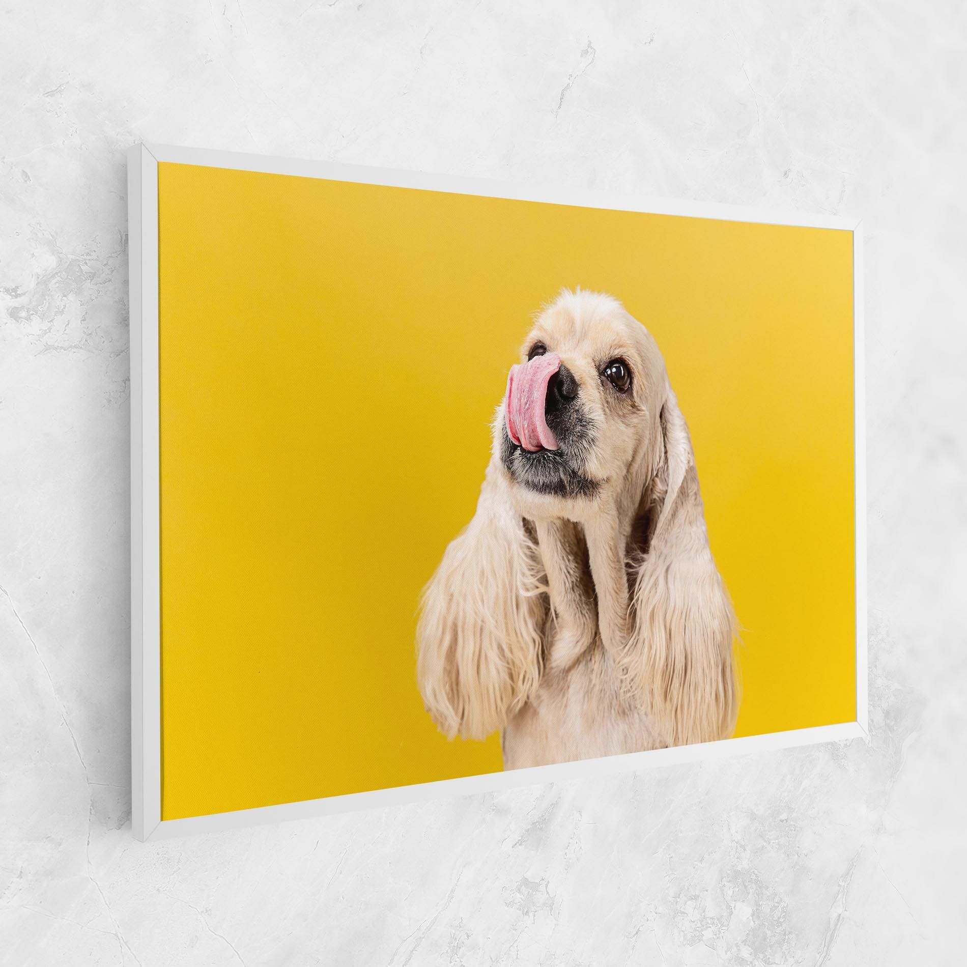 American Spaniel mockup 1