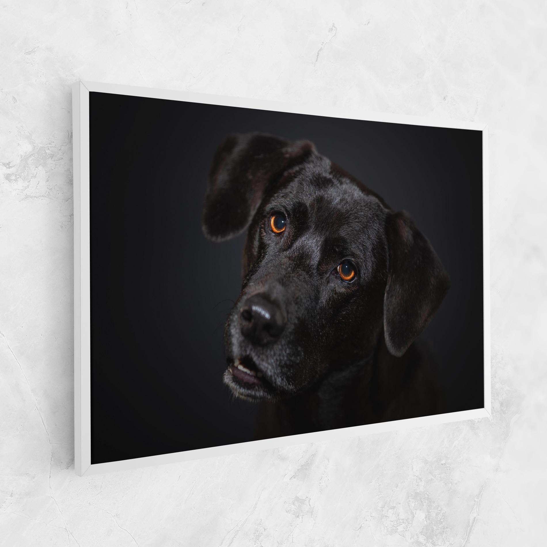 Картина на платно Black Dog Portrait mockup 1