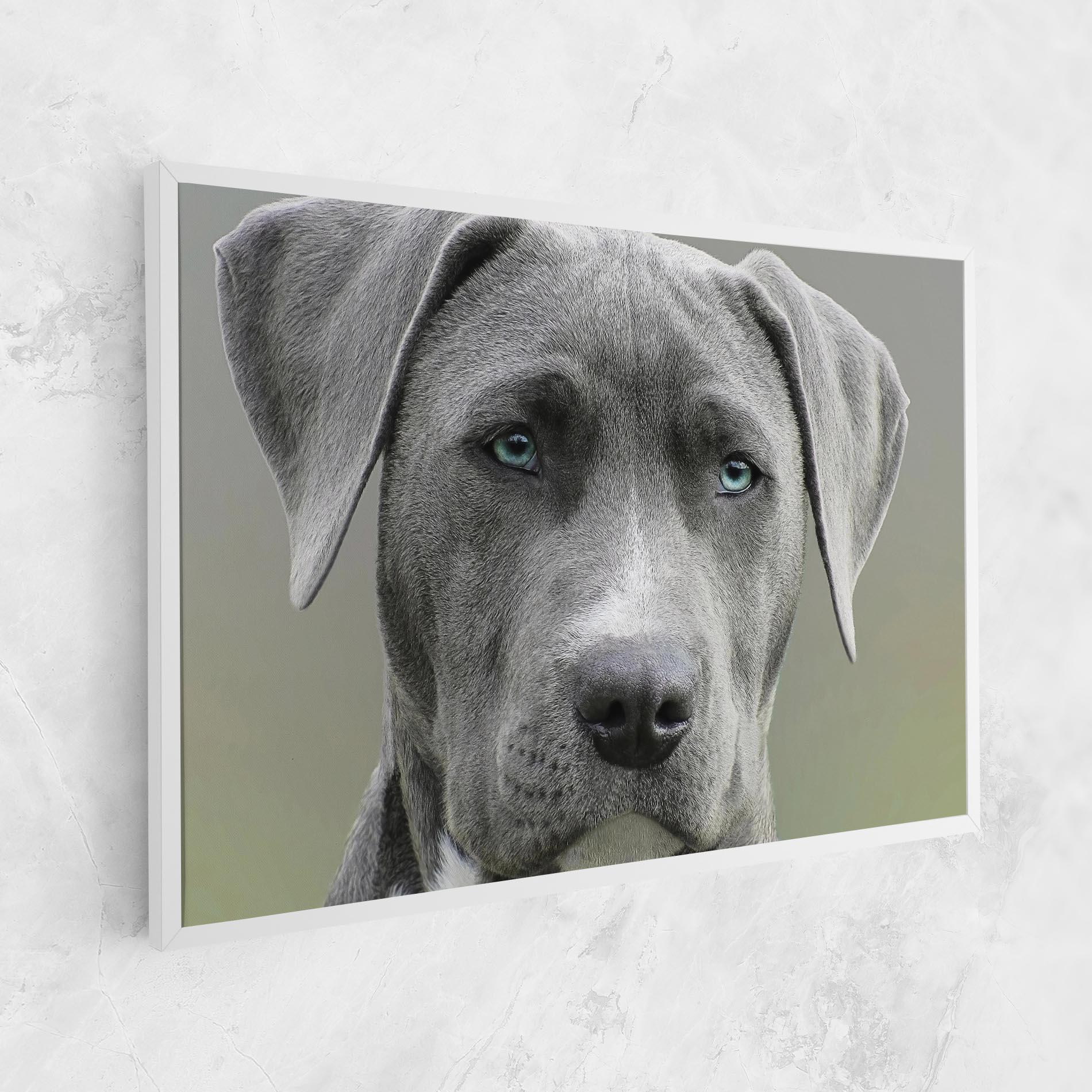 Картина на платно Blue Eyes Dog mockup 1