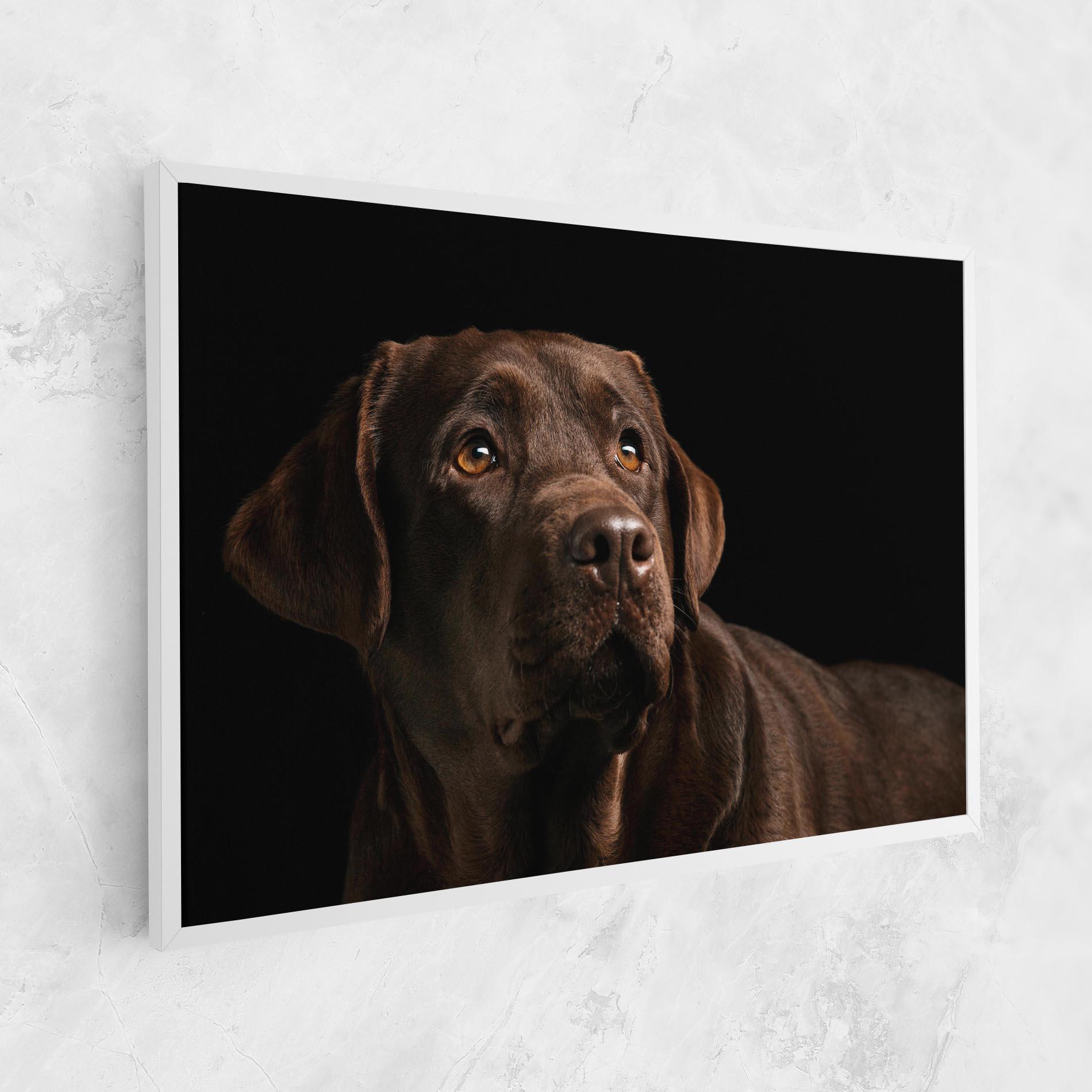 Картина на платно Brown Labrador mockup 1