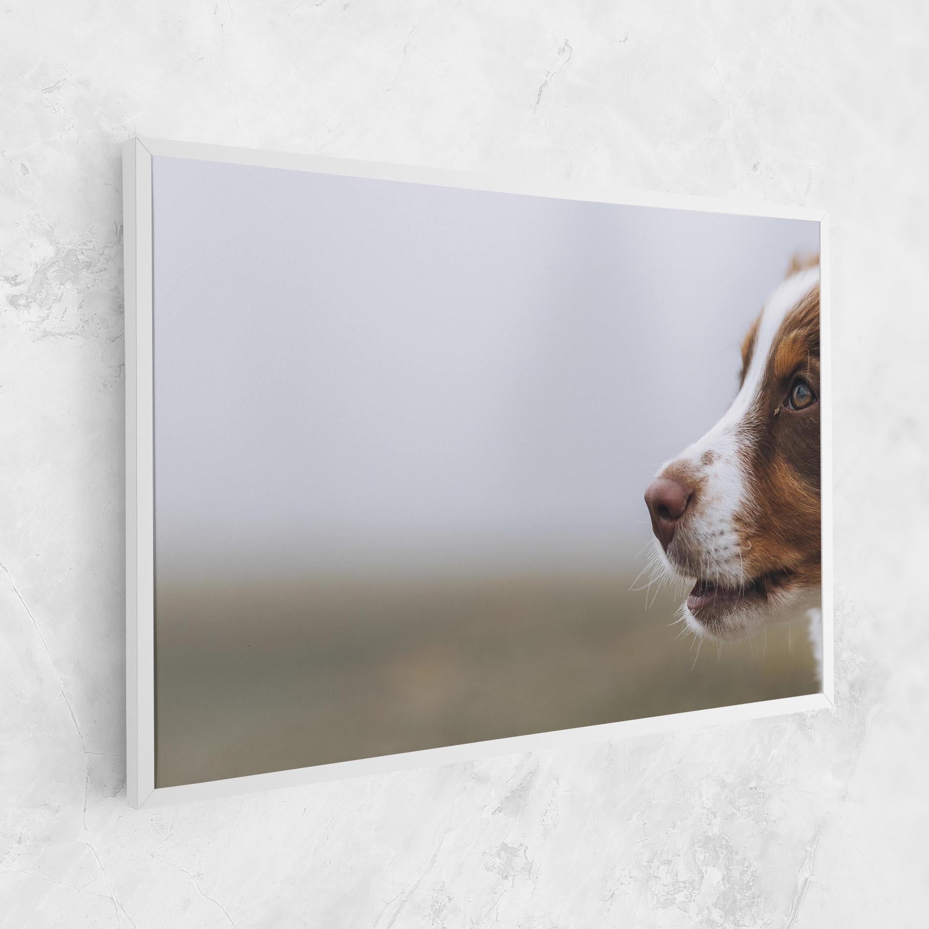 Картина на платно Brown White Dog mockup 1