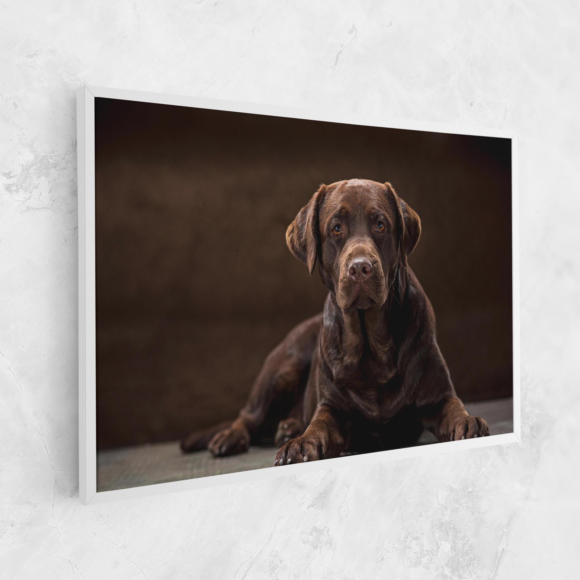 Cute Brown Labrador mockup 1