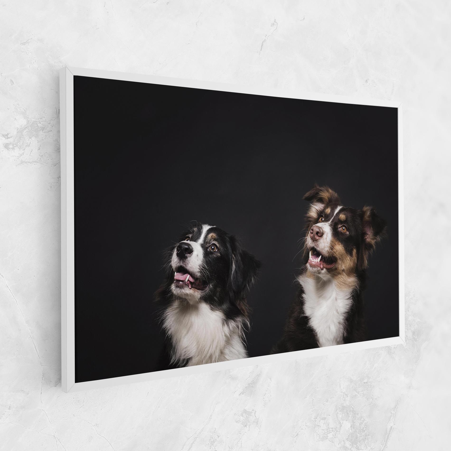 Cute Dogs Standing mockup 1