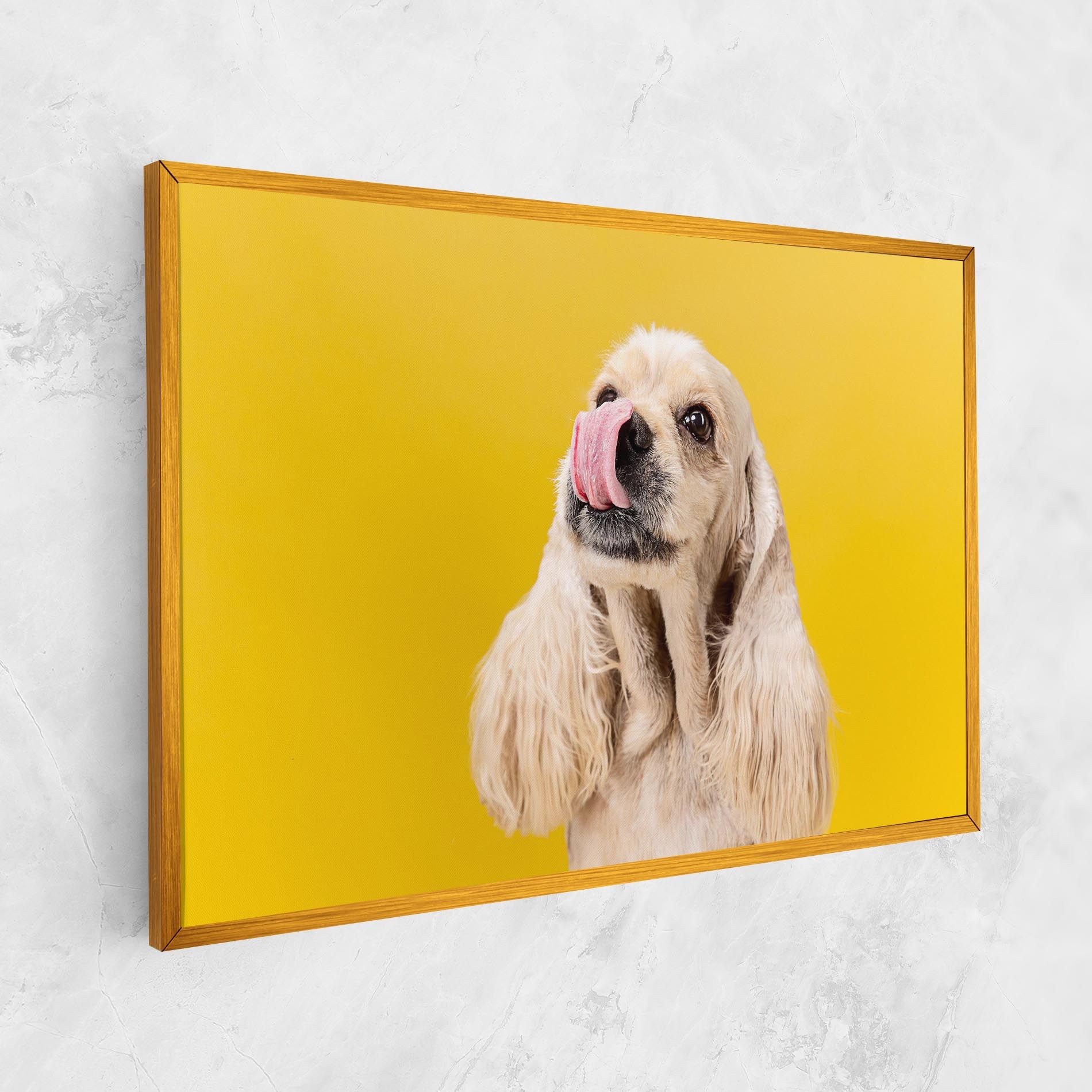 American Spaniel mockup 1