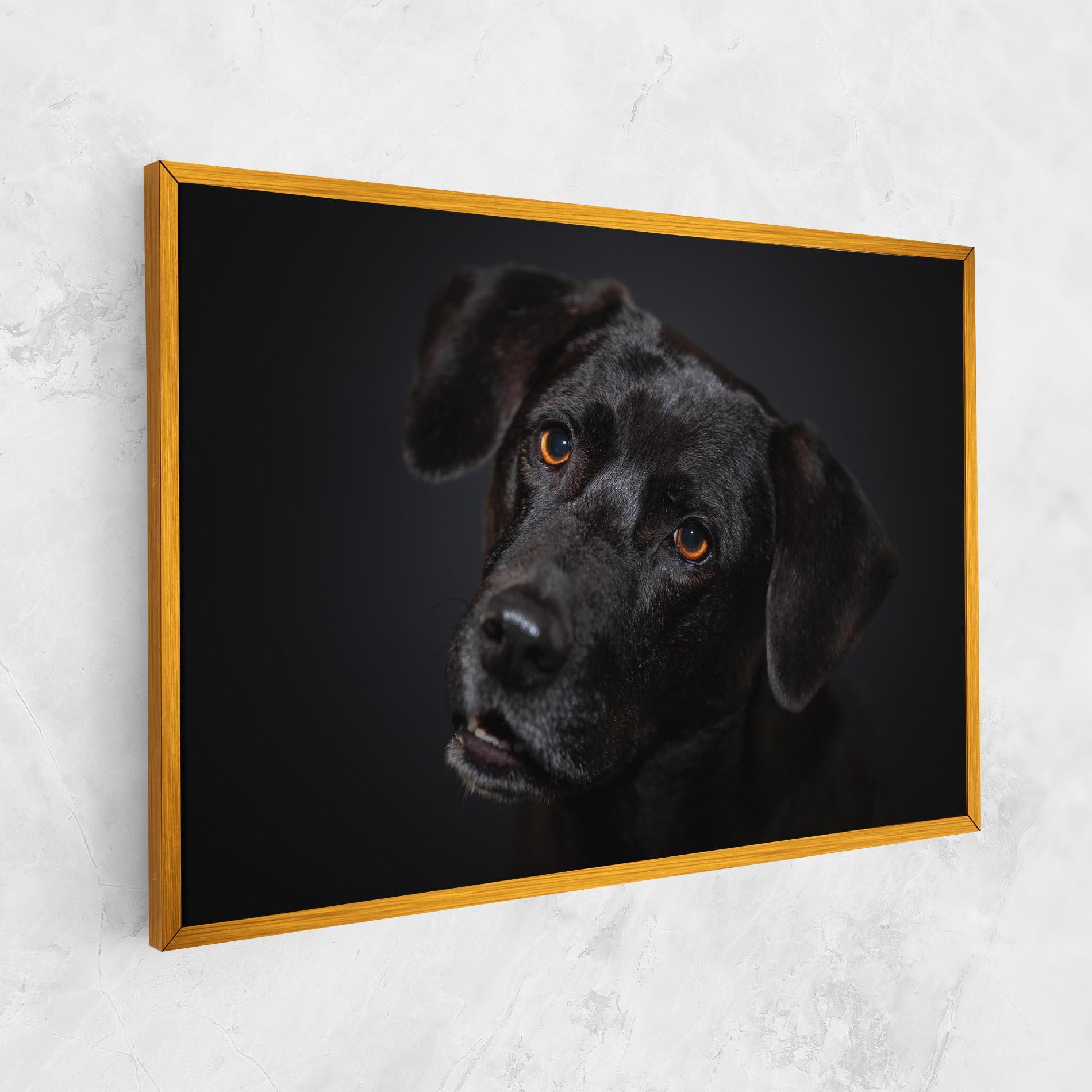 Картина на платно Black Dog Portrait mockup 1