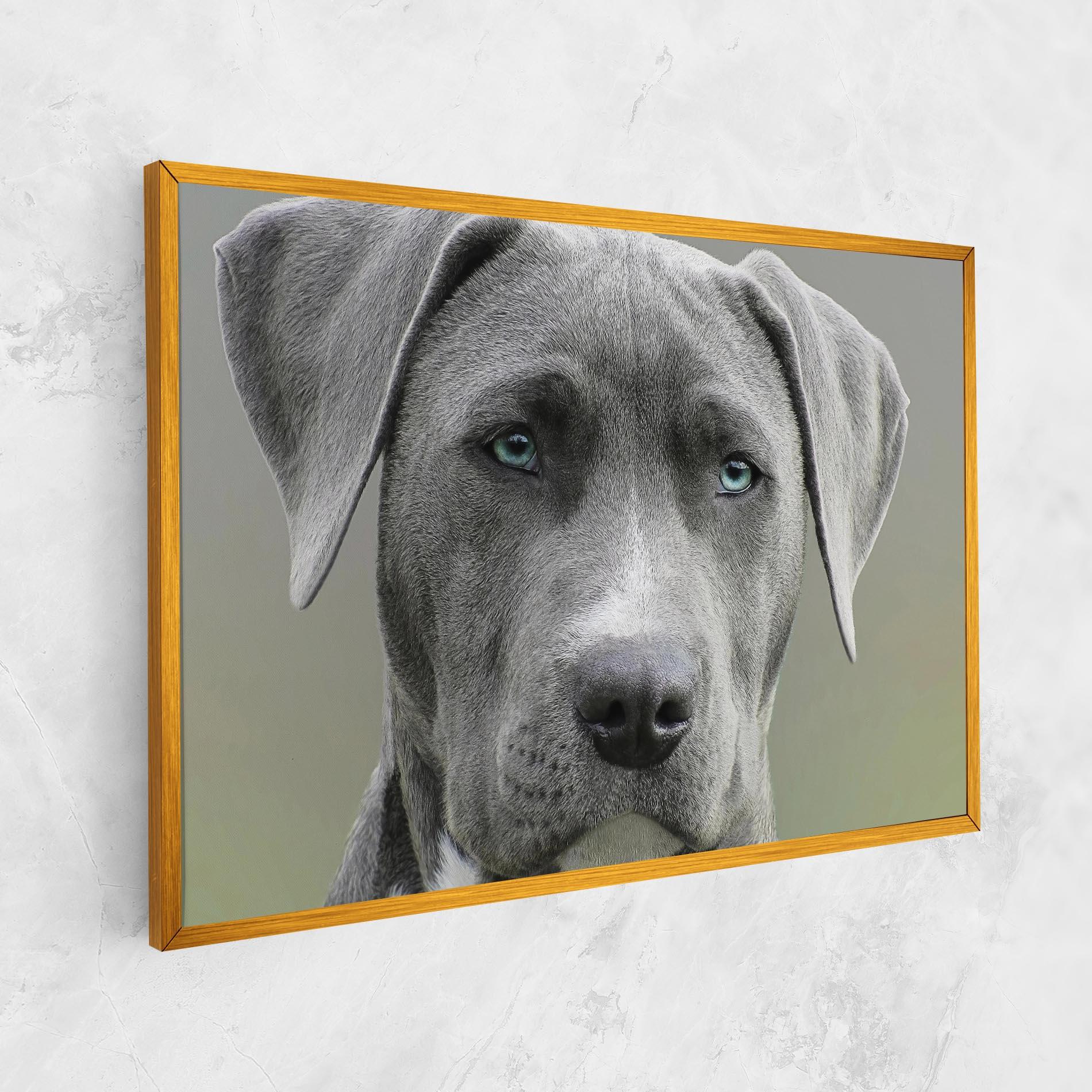 Картина на платно Blue Eyes Dog mockup 1
