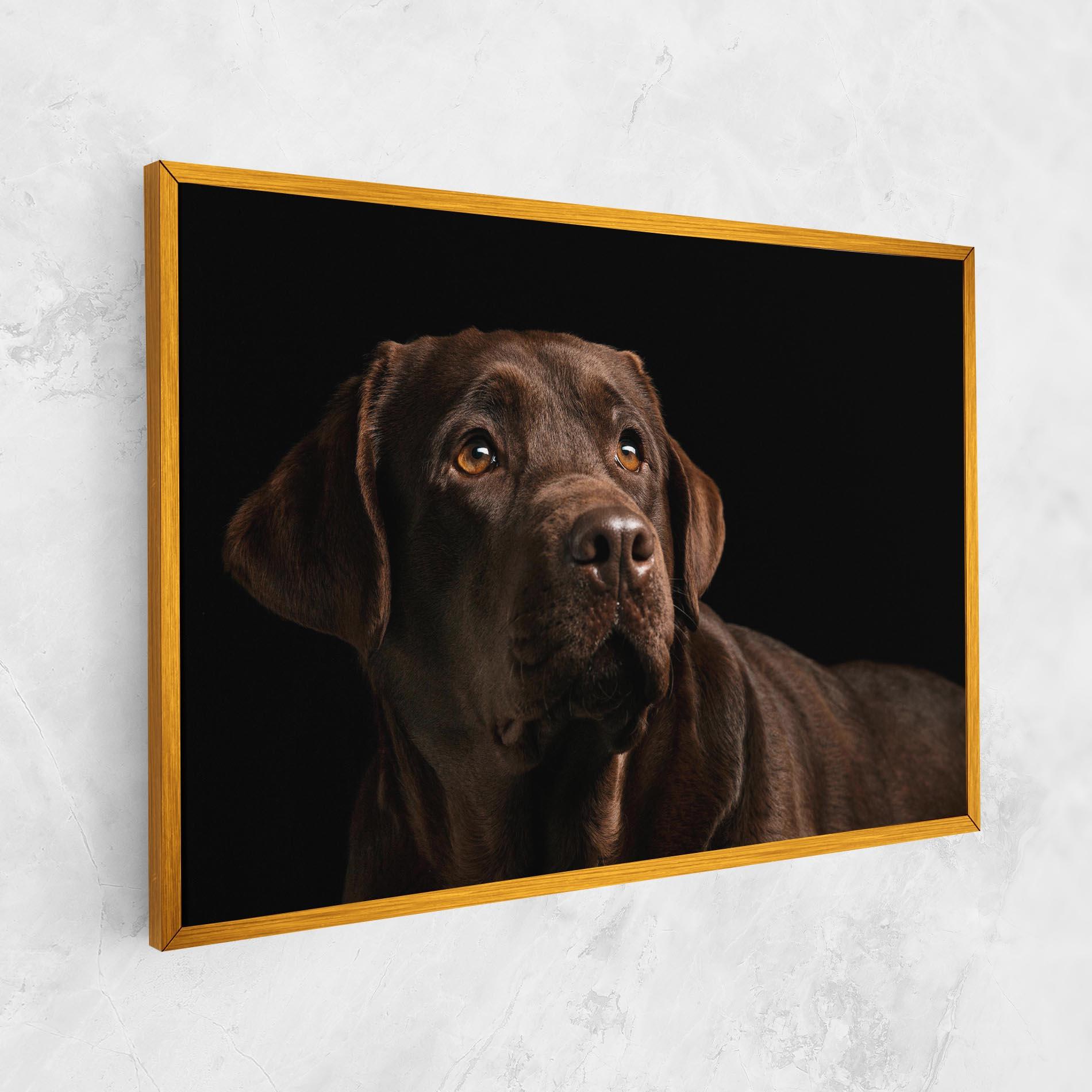 Картина на платно Brown Labrador mockup 1