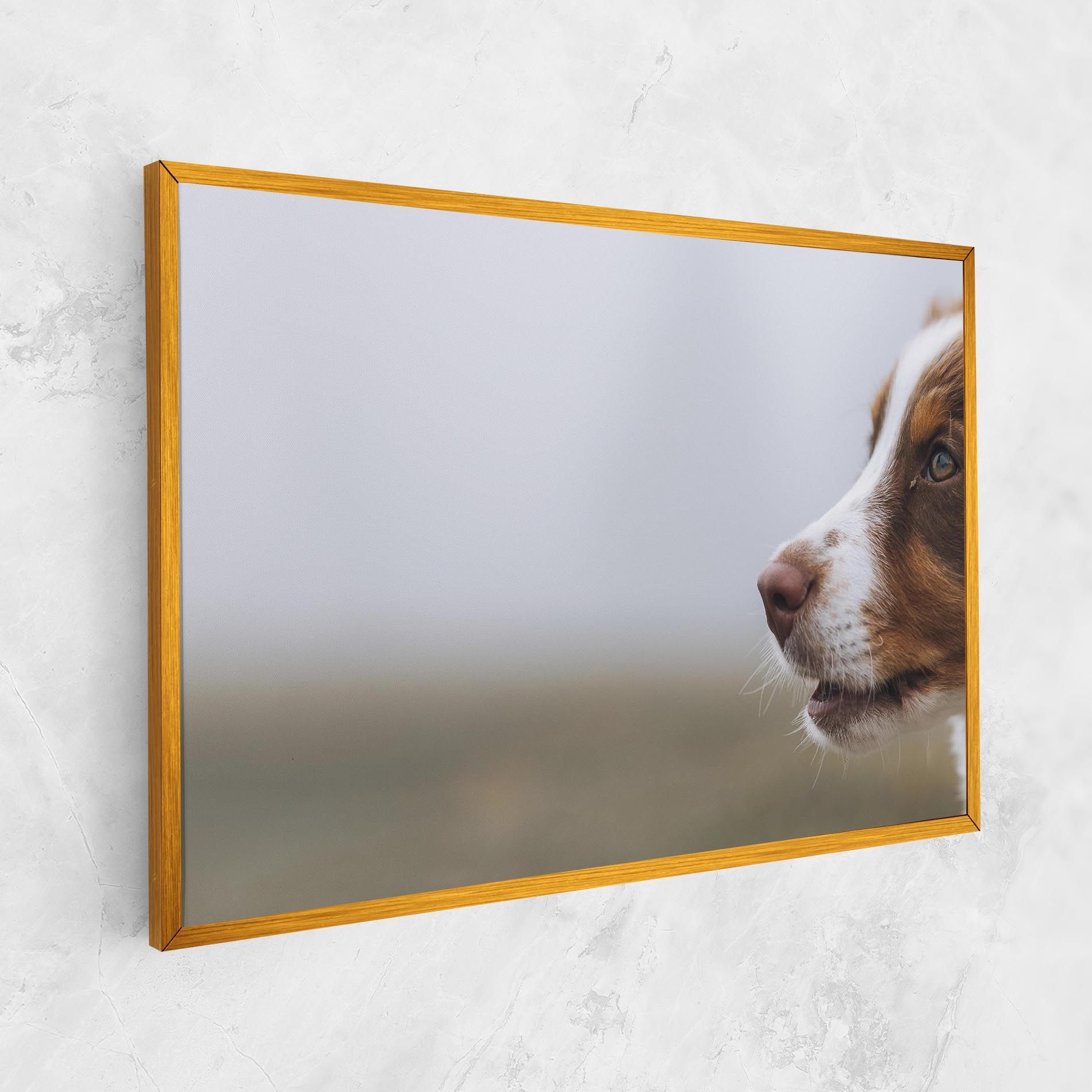Brown White Dog mockup 1