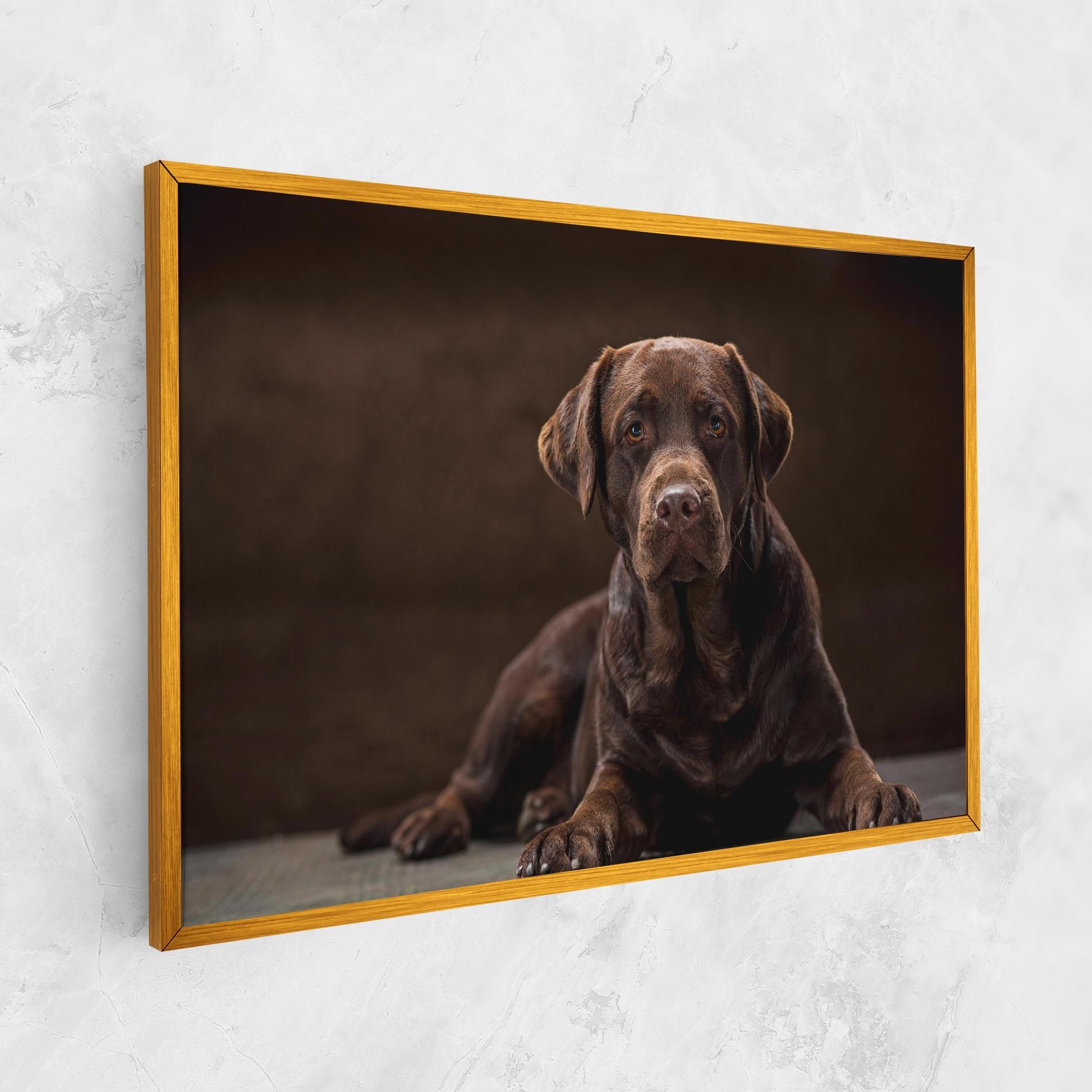 Cute Brown Labrador mockup 1