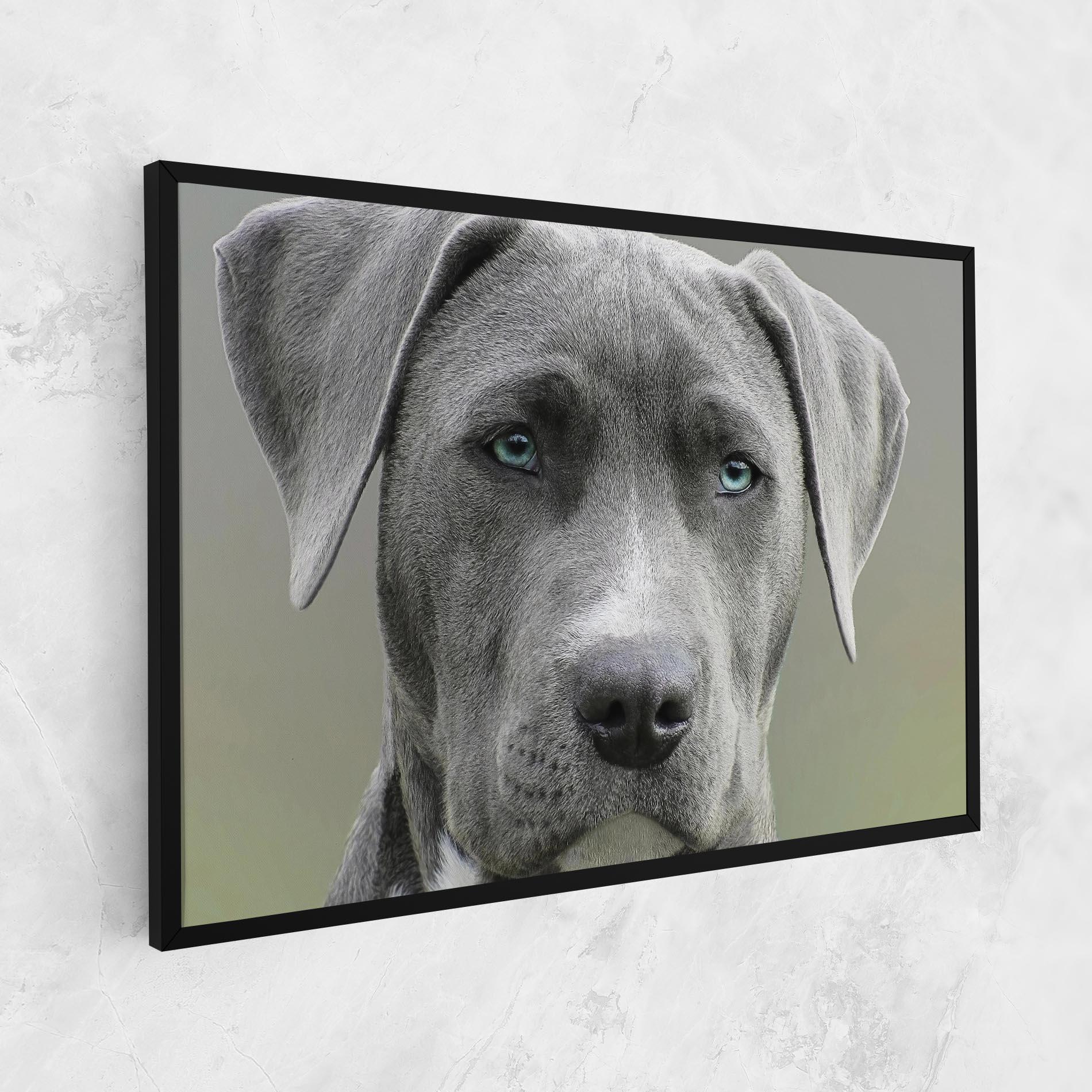 Картина на платно Blue Eyes Dog mockup 1