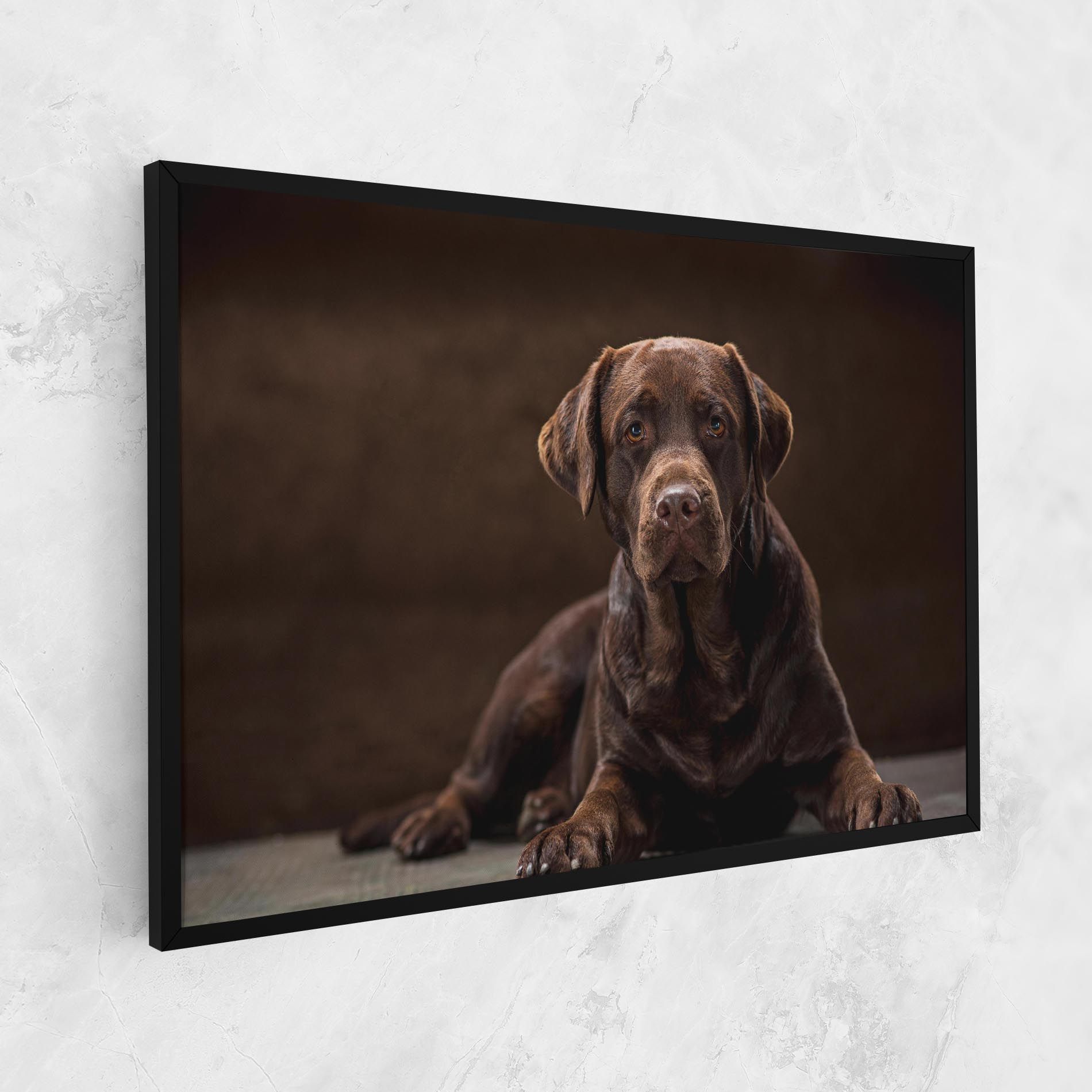 Cute Brown Labrador mockup 1