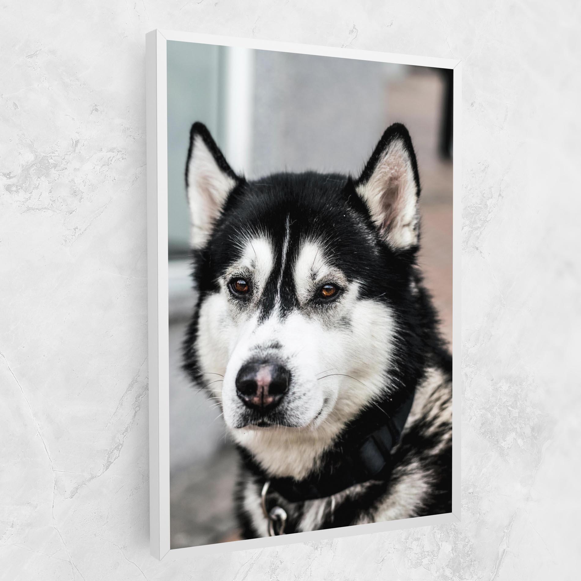 Картина на платно Husky Dog mockup 1