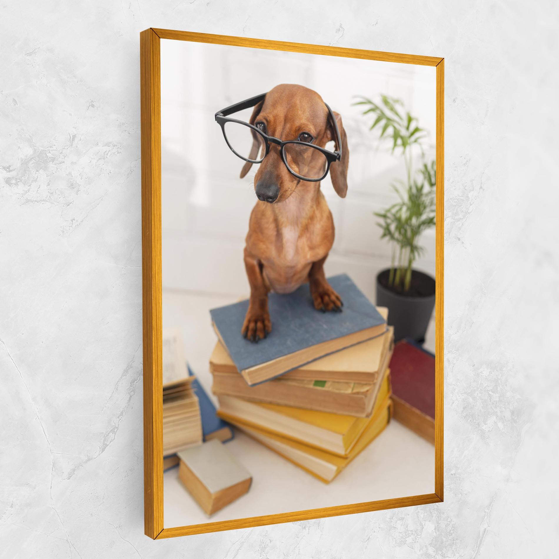 Картина на платно Books Cute Dog mockup 1