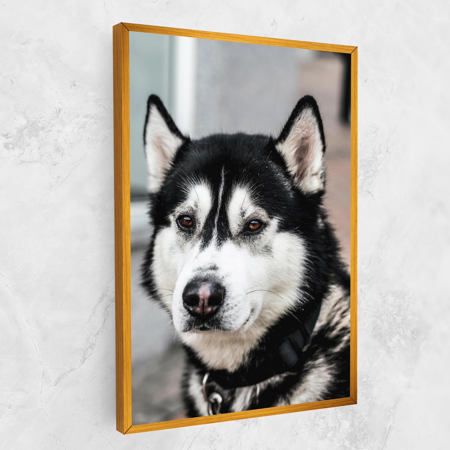Картина на платно Husky Dog mockup 1
