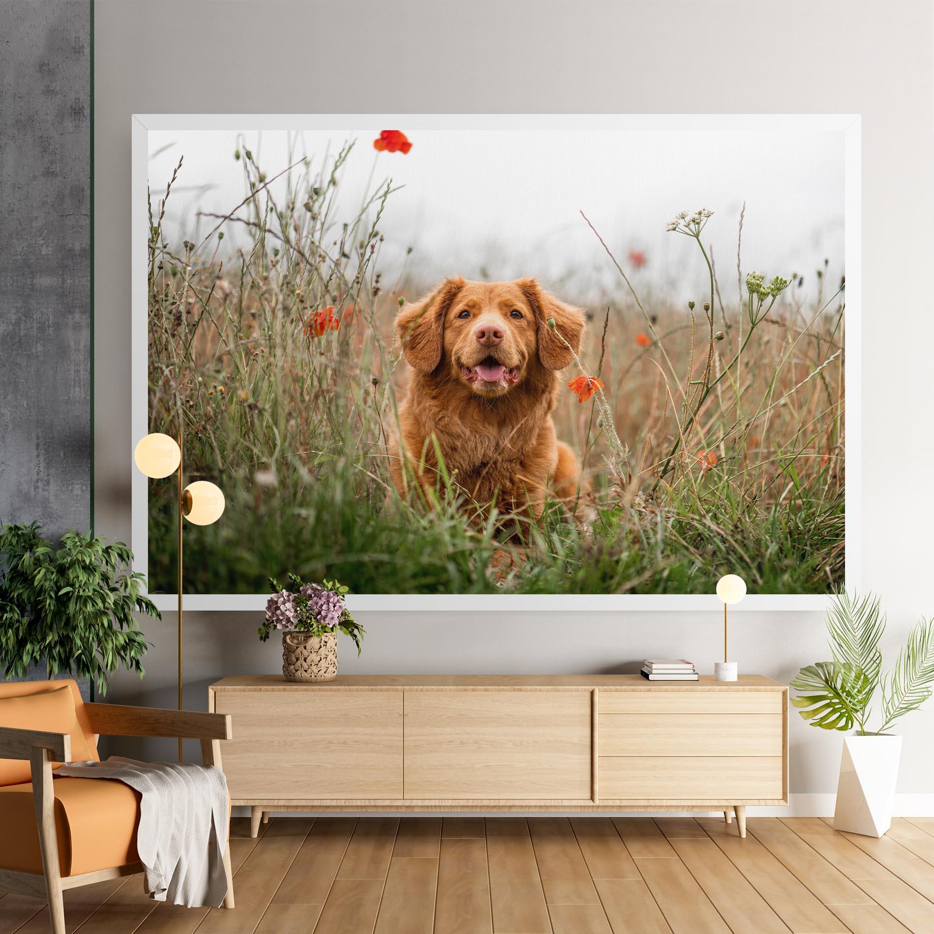 Картина на платно Red Flowers Dog mockup 9