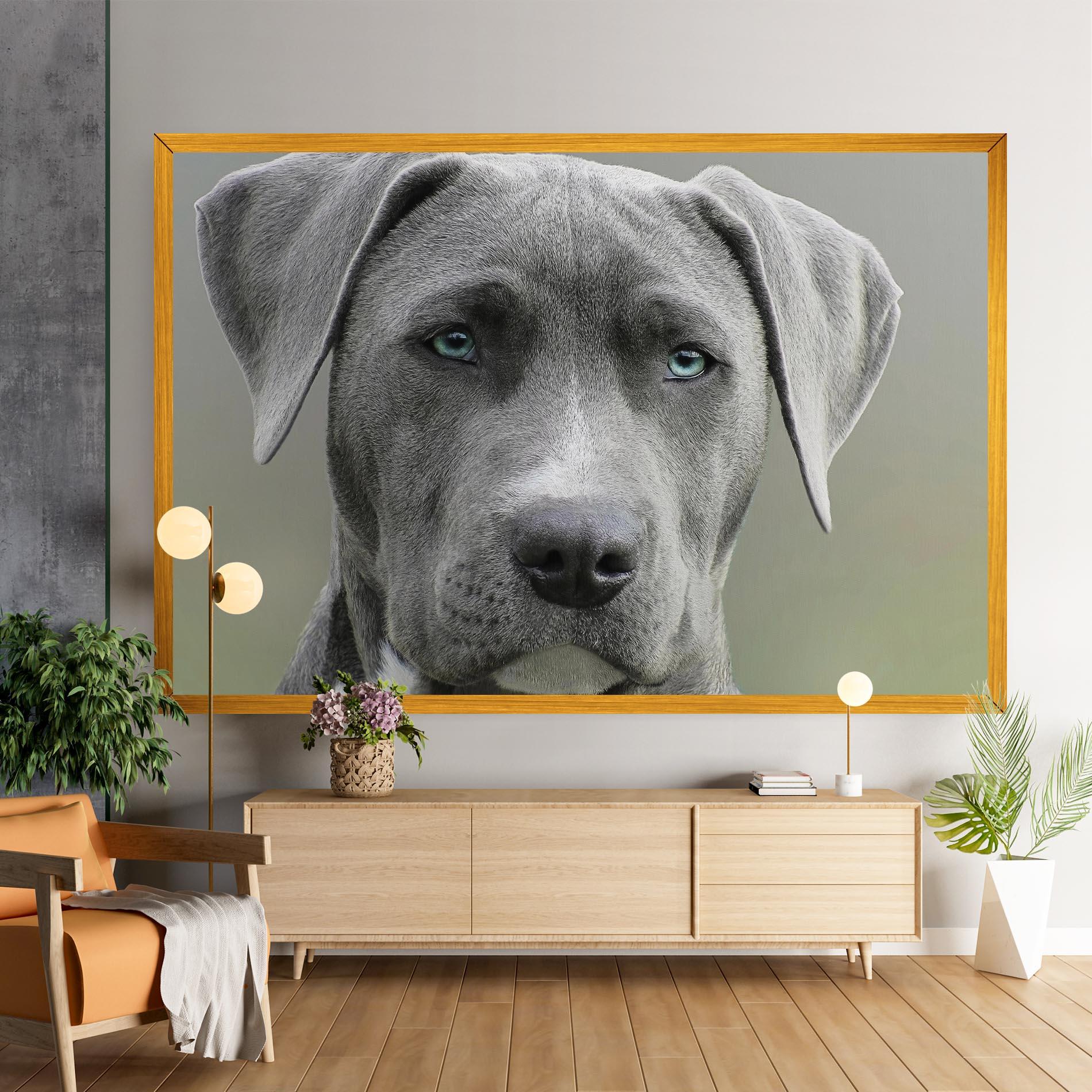 Картина на платно Blue Eyes Dog mockup 9