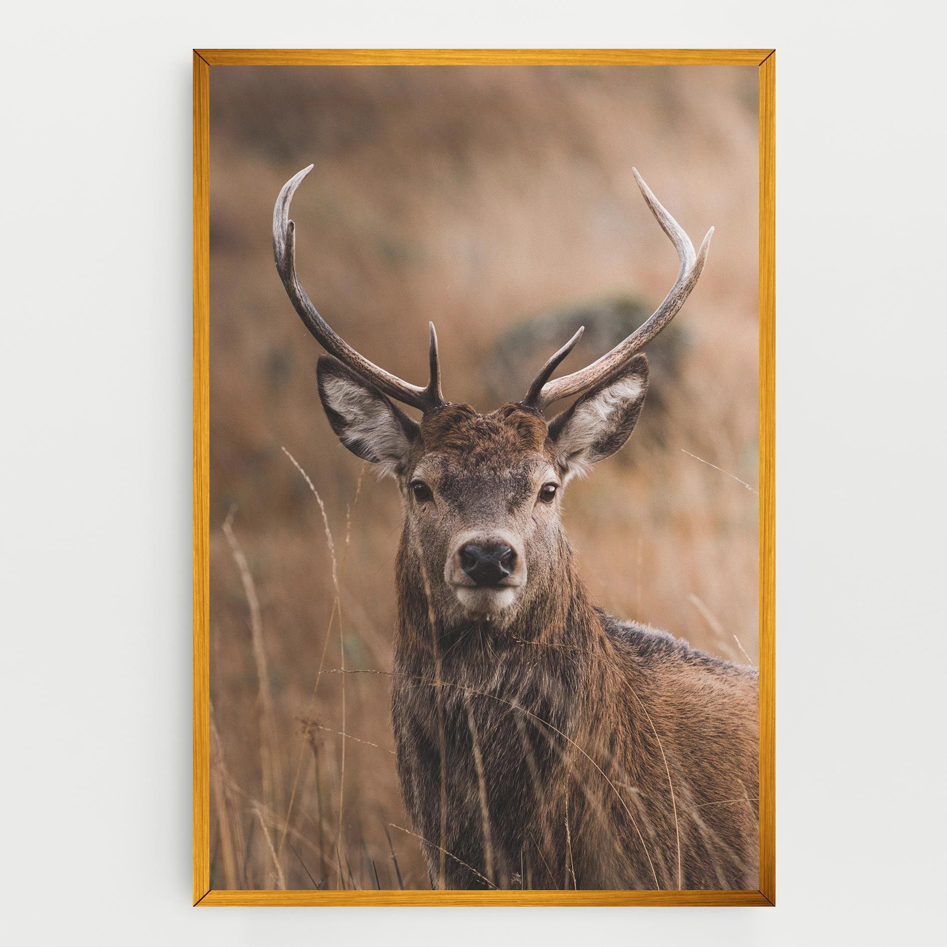 Majestic Deer mockup 0