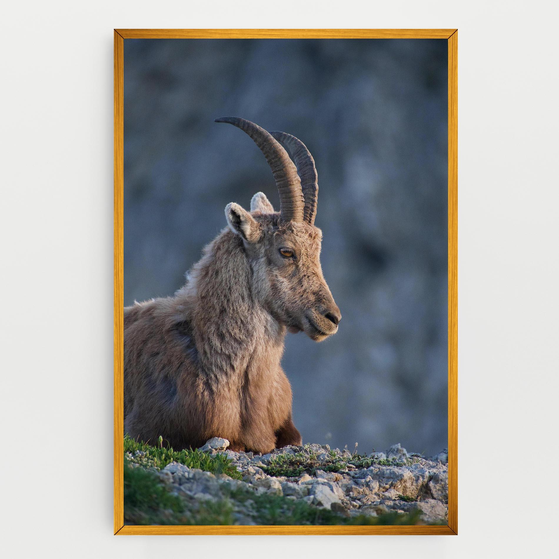 Картина на платно Mountain Goat mockup 0
