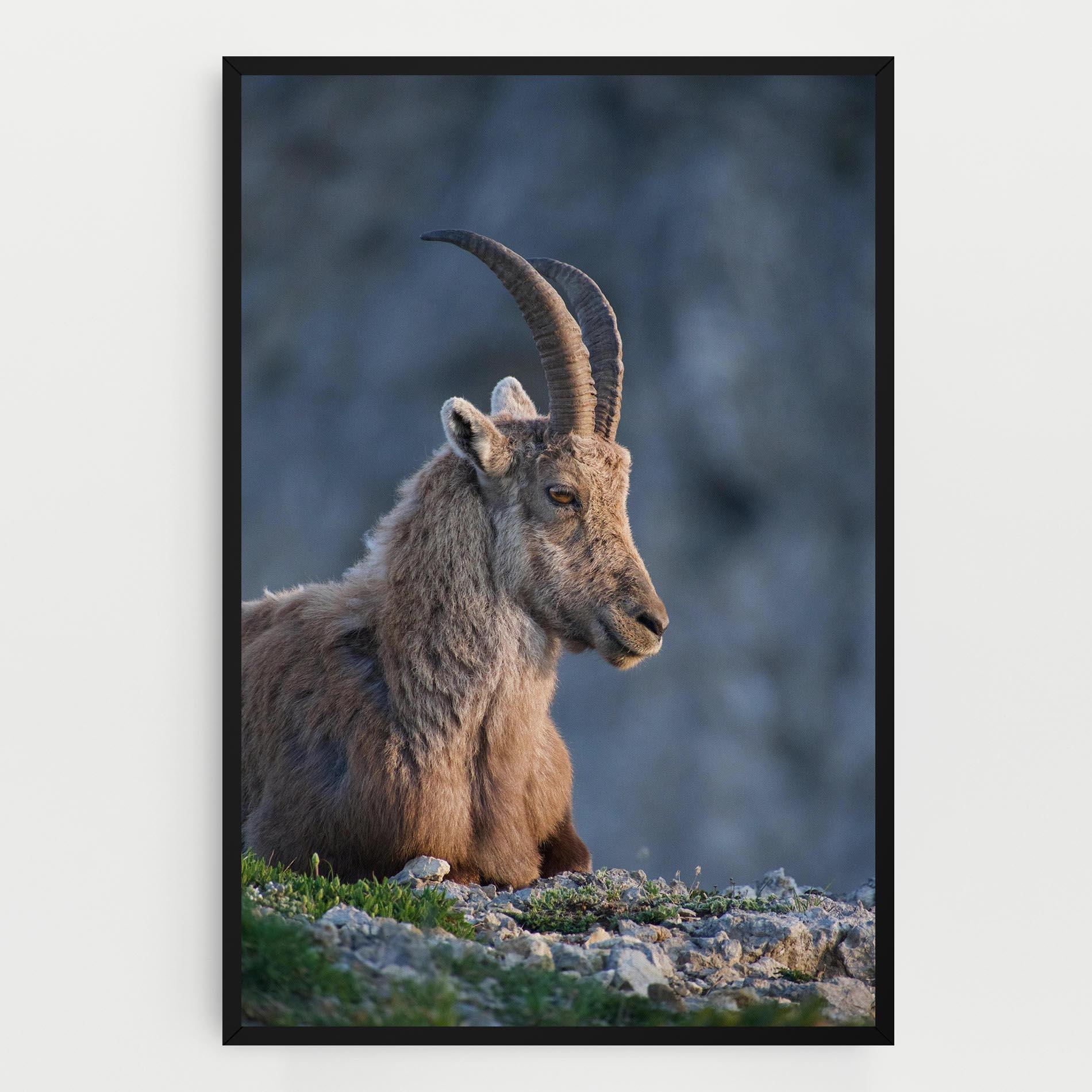 Картина на платно Mountain Goat mockup 0