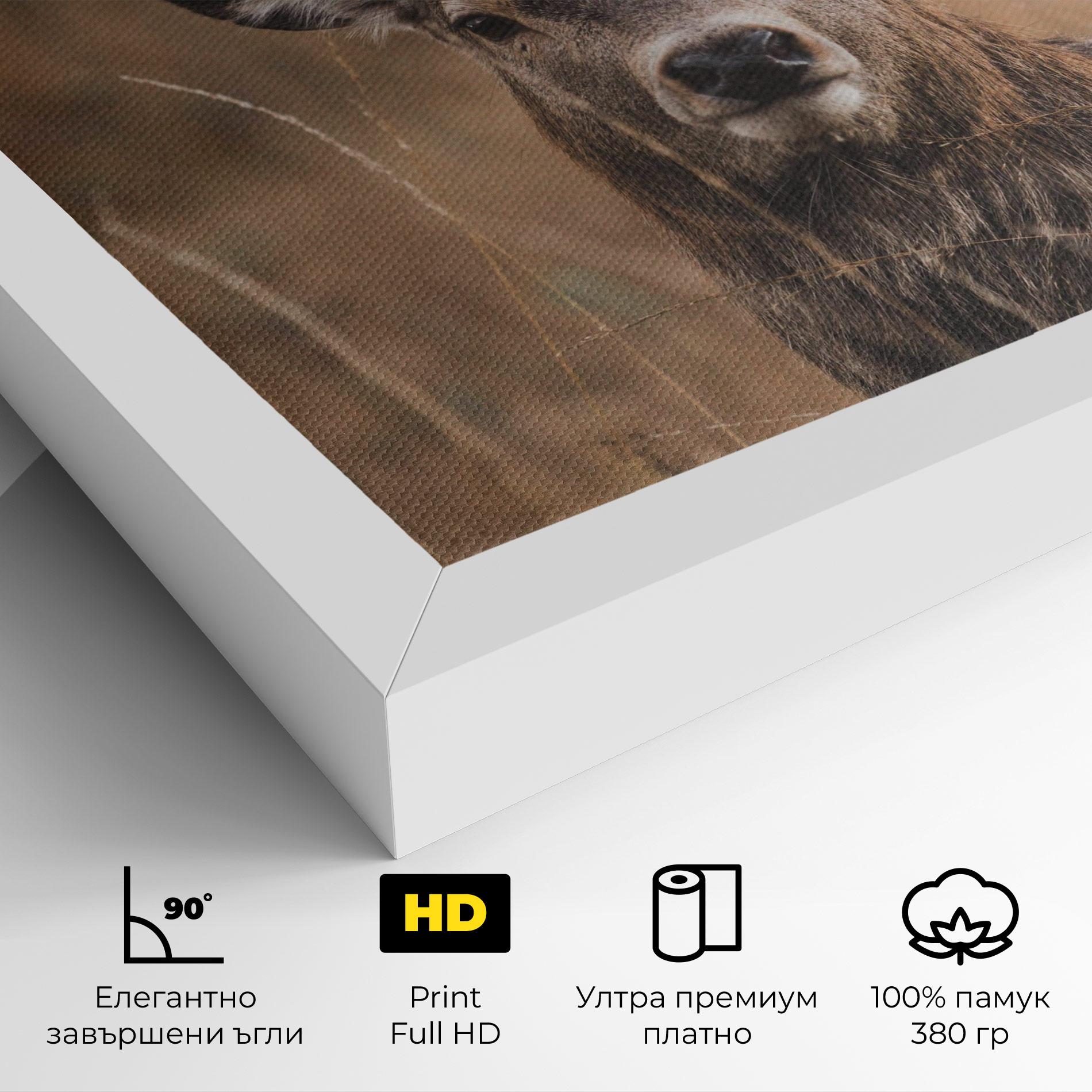 Картина на платно Majestic Deer mockup 4