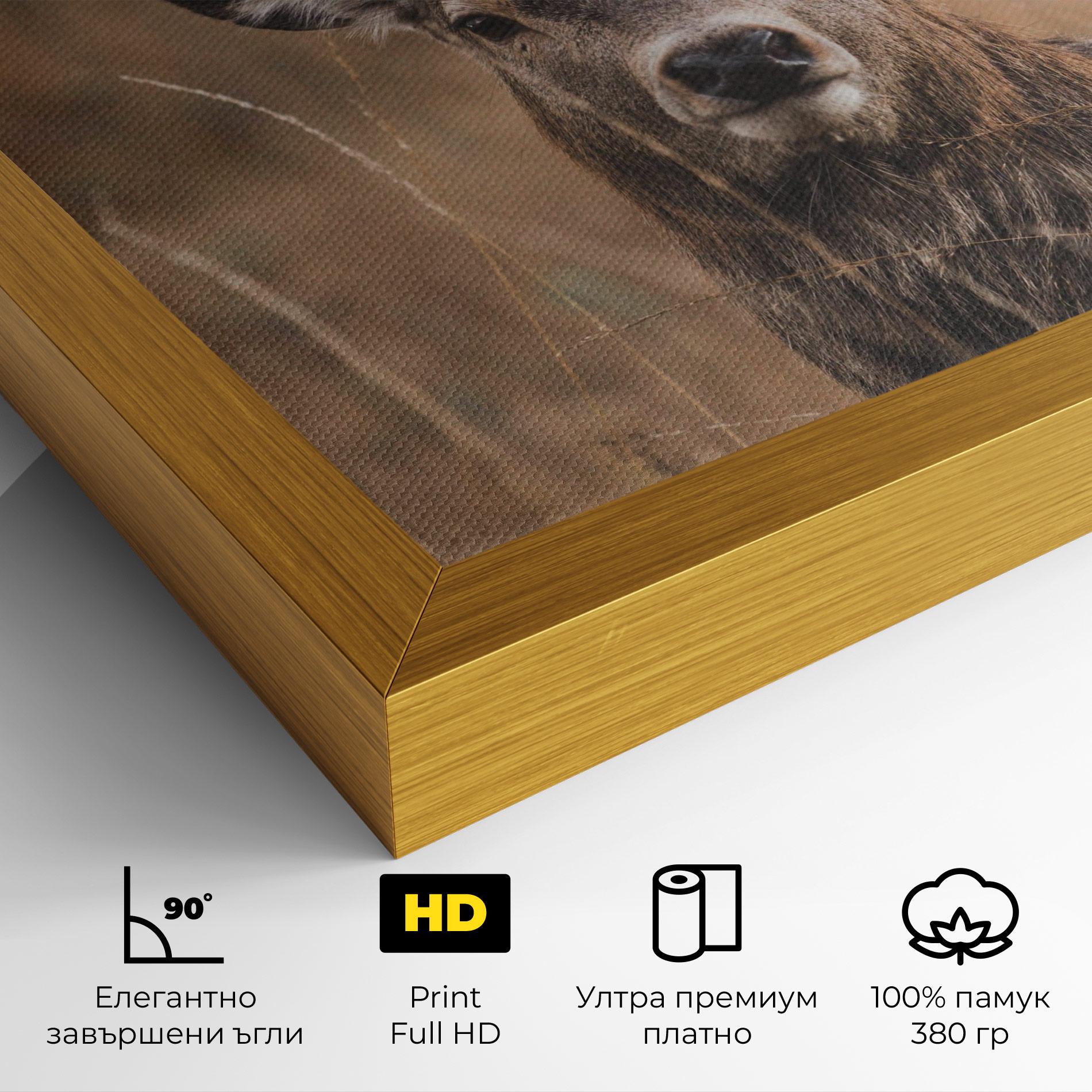 Картина на платно Majestic Deer mockup 4