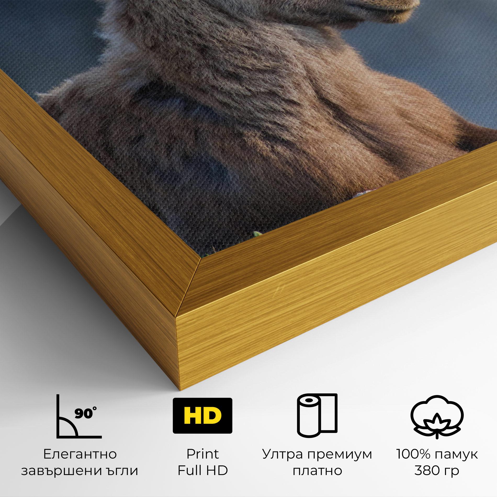 Картина на платно Mountain Goat mockup 4