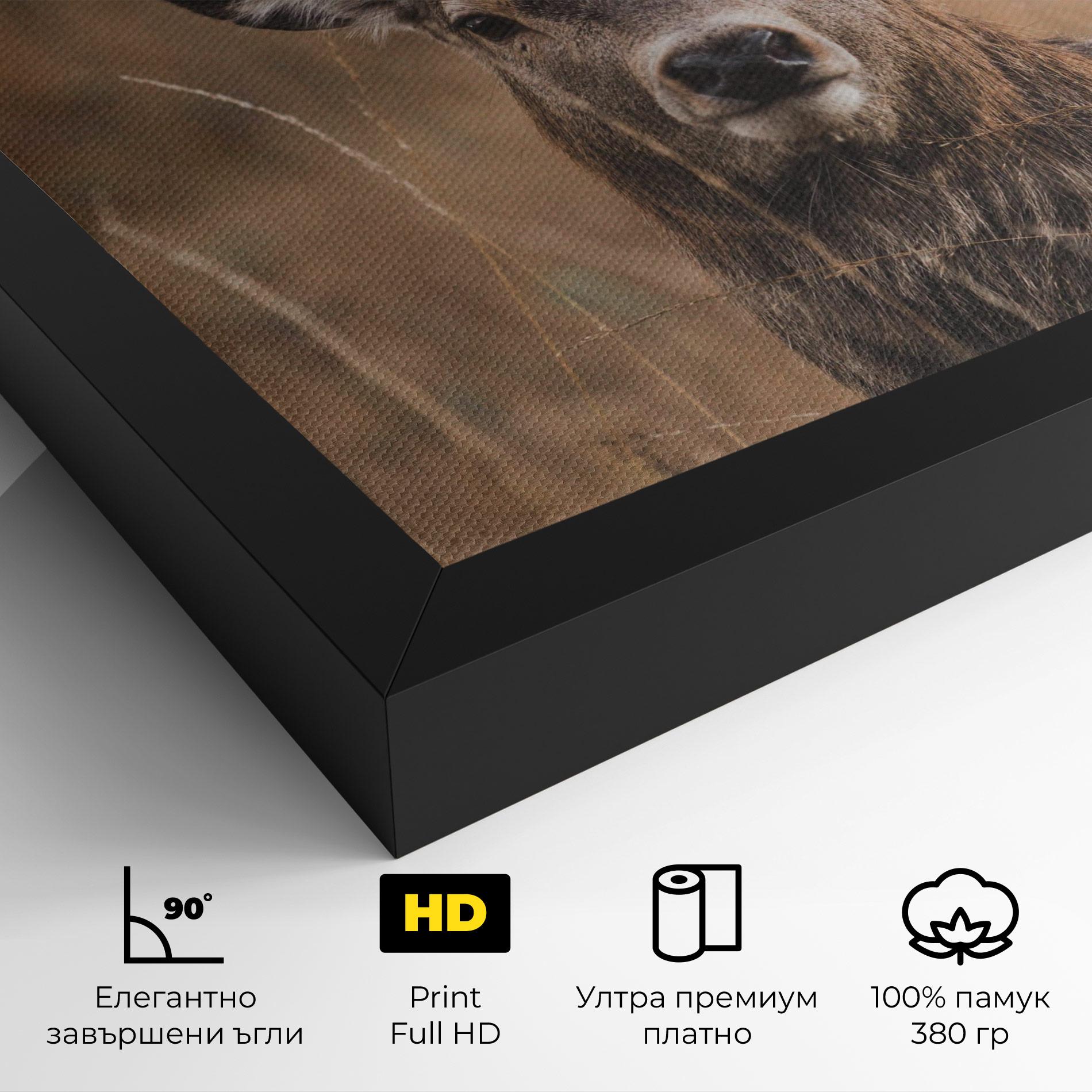 Картина на платно Majestic Deer mockup 4