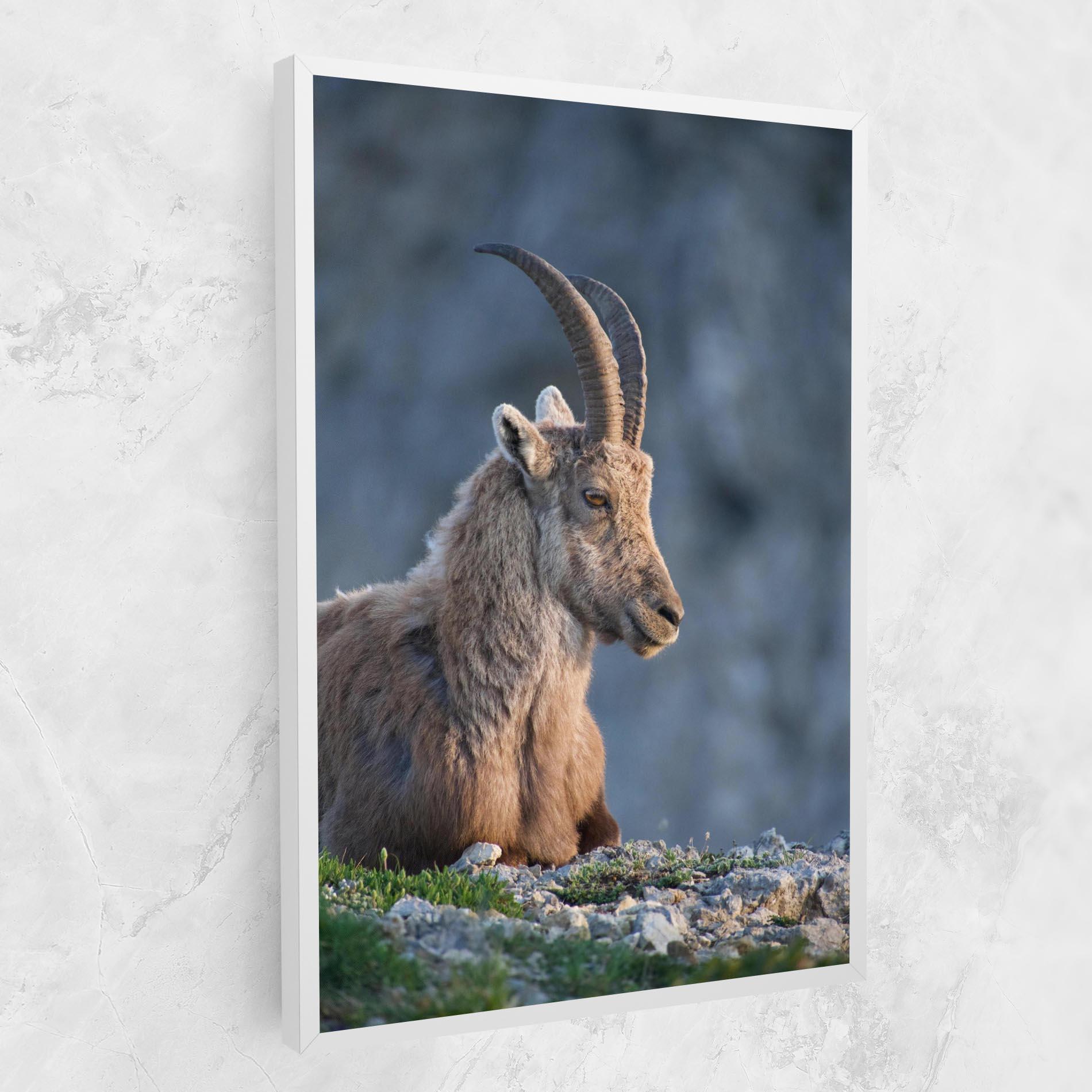 Картина на платно Mountain Goat mockup 1